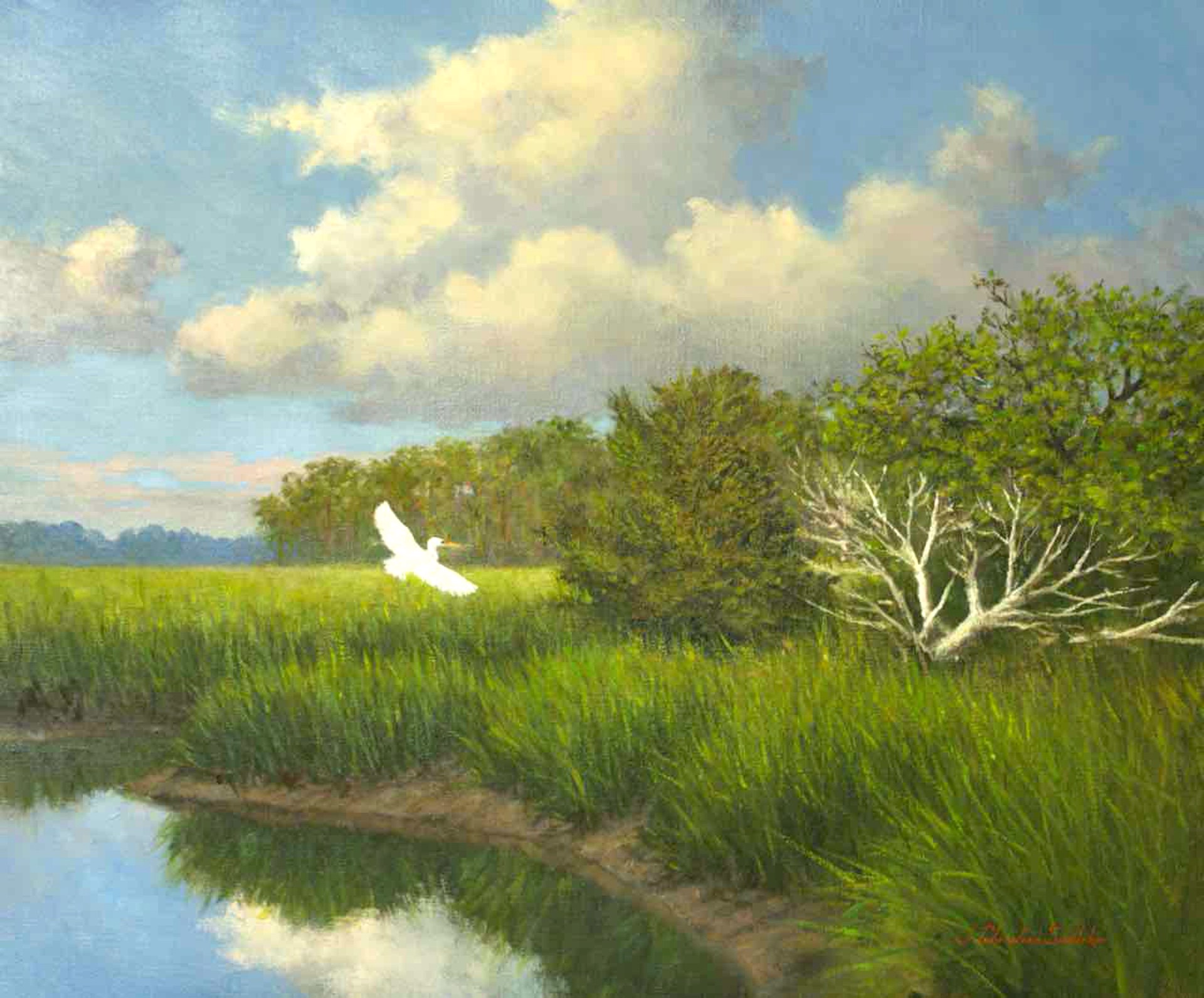 White Bird by J. Christian Snedeker