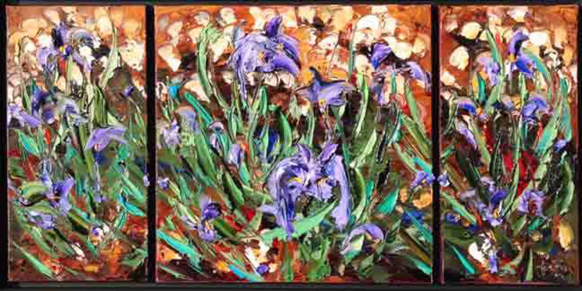 Iris Evolution Triptych by JD Miller
