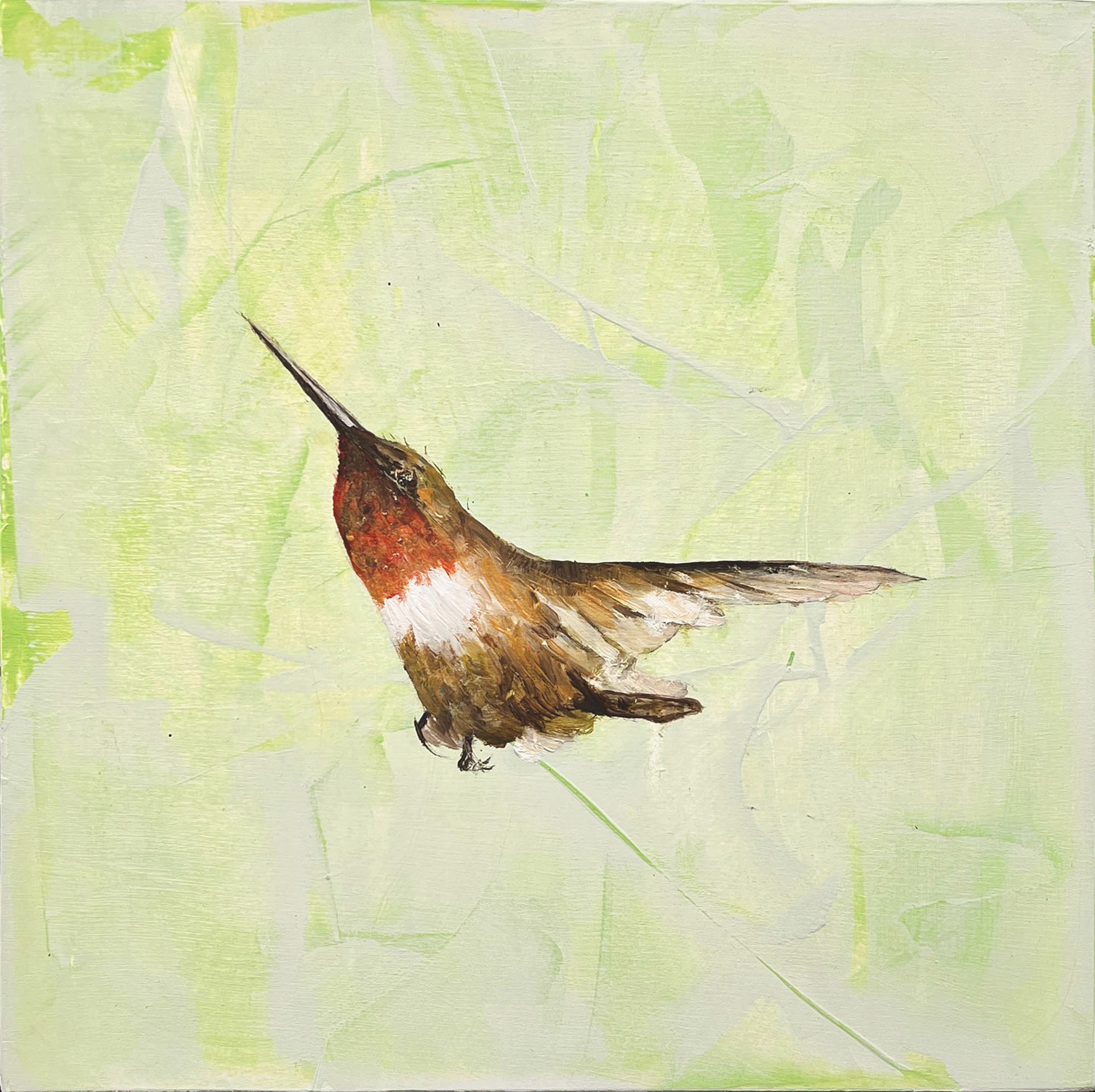 Original Oil Painting By Jenna Von Benedikt Hummingbird In Green Background