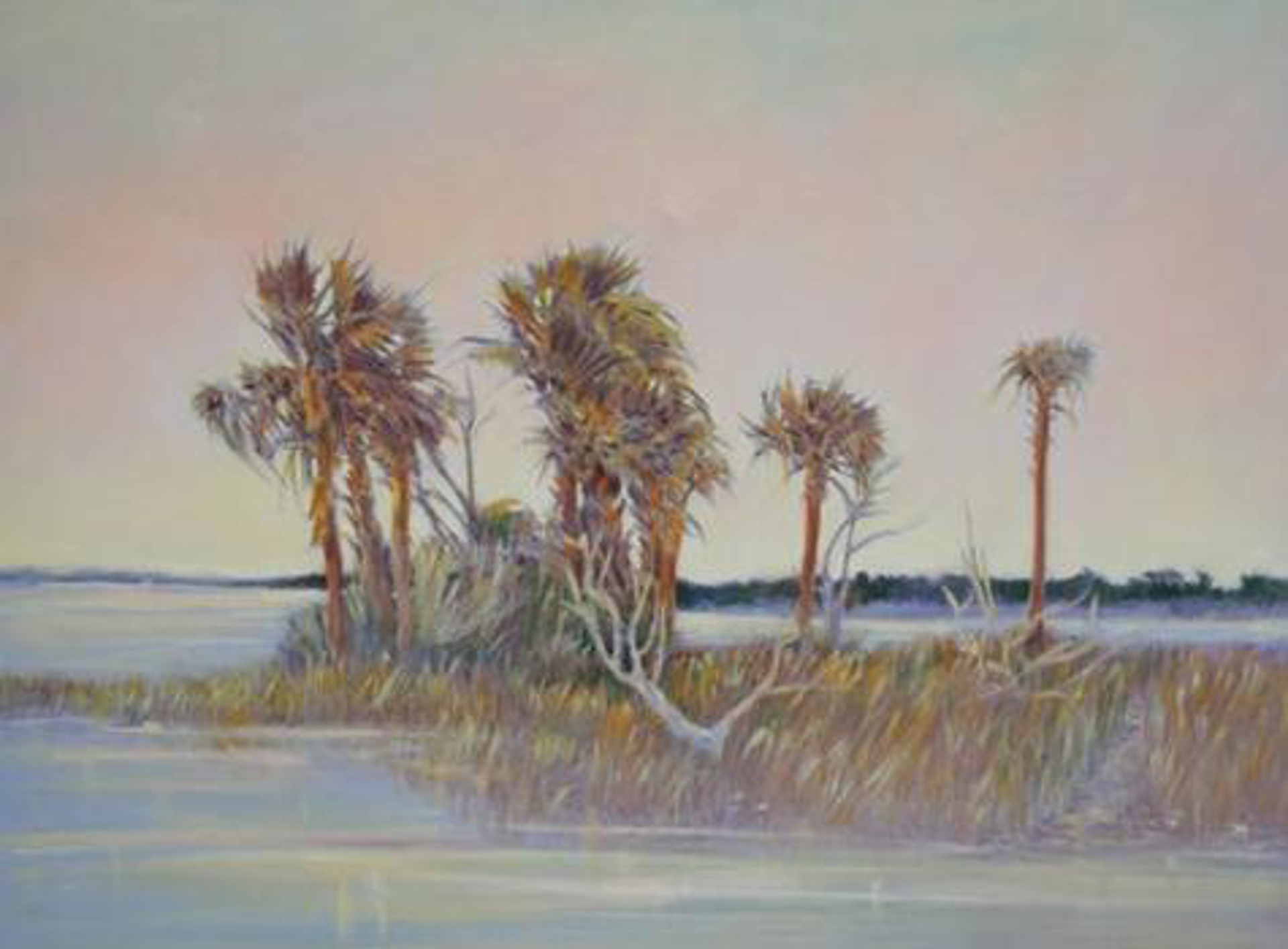 Early Palms by Patricia Lusk