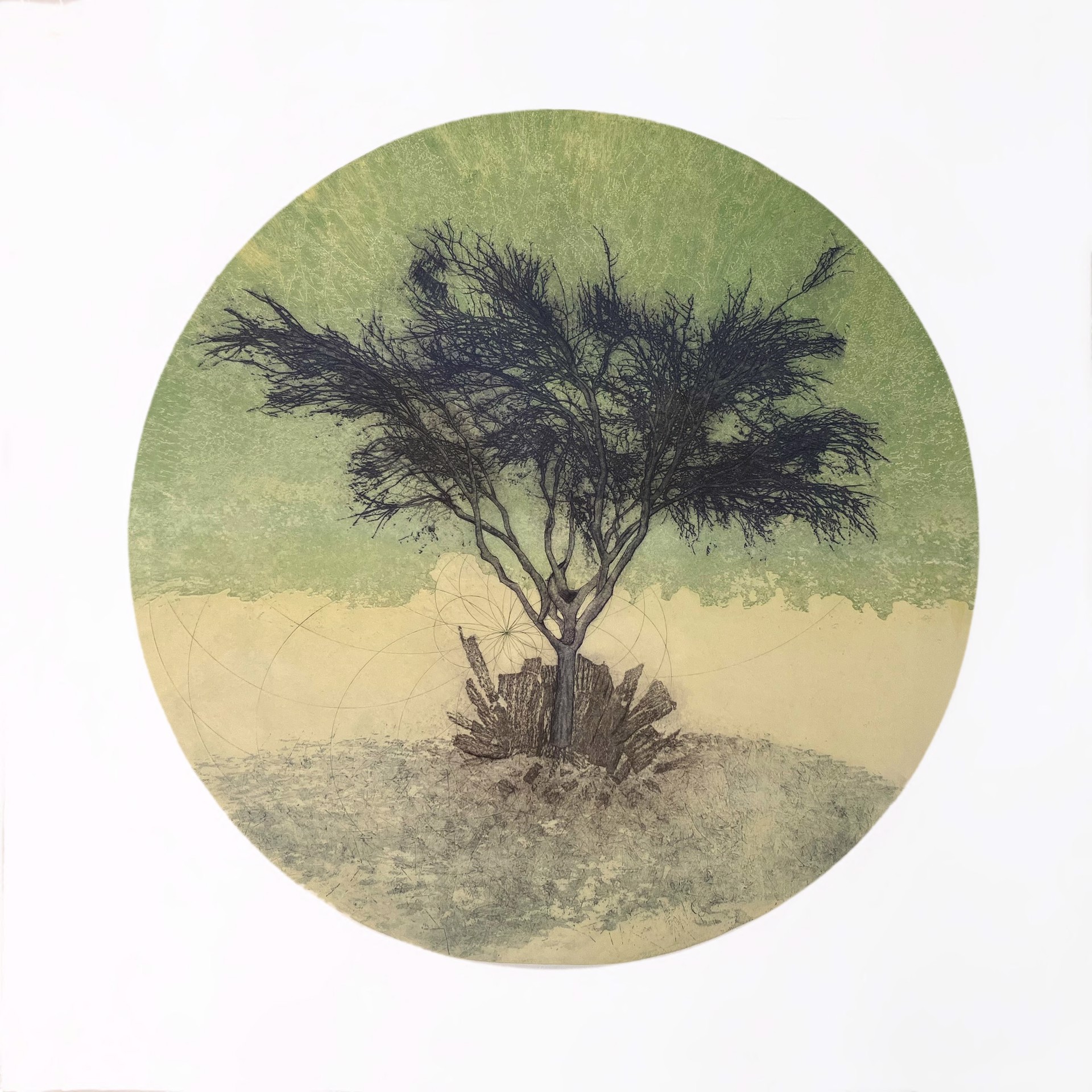(re)Learning Stability by Mary Hood