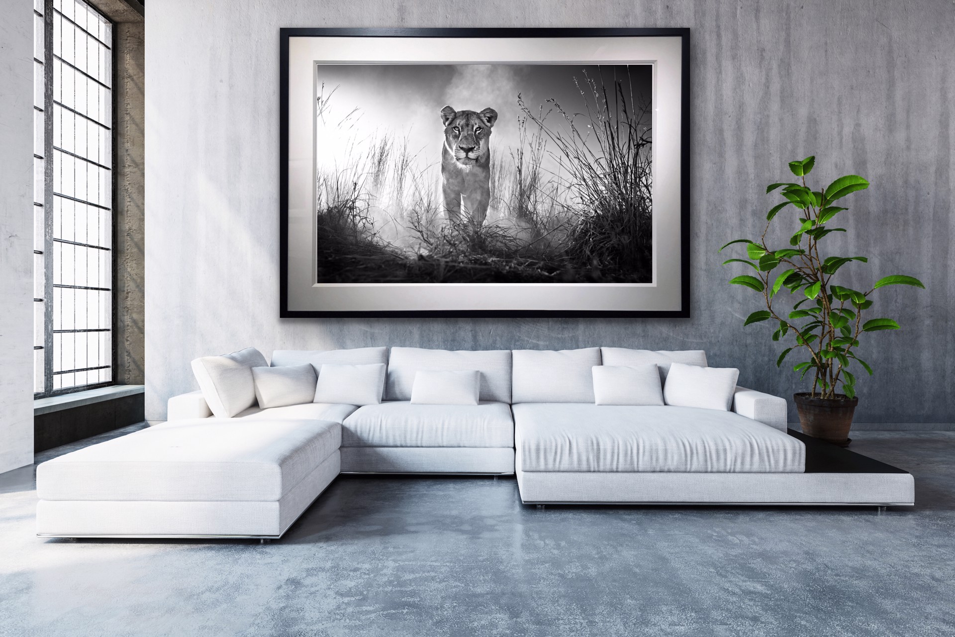 Gladiator by David Yarrow
