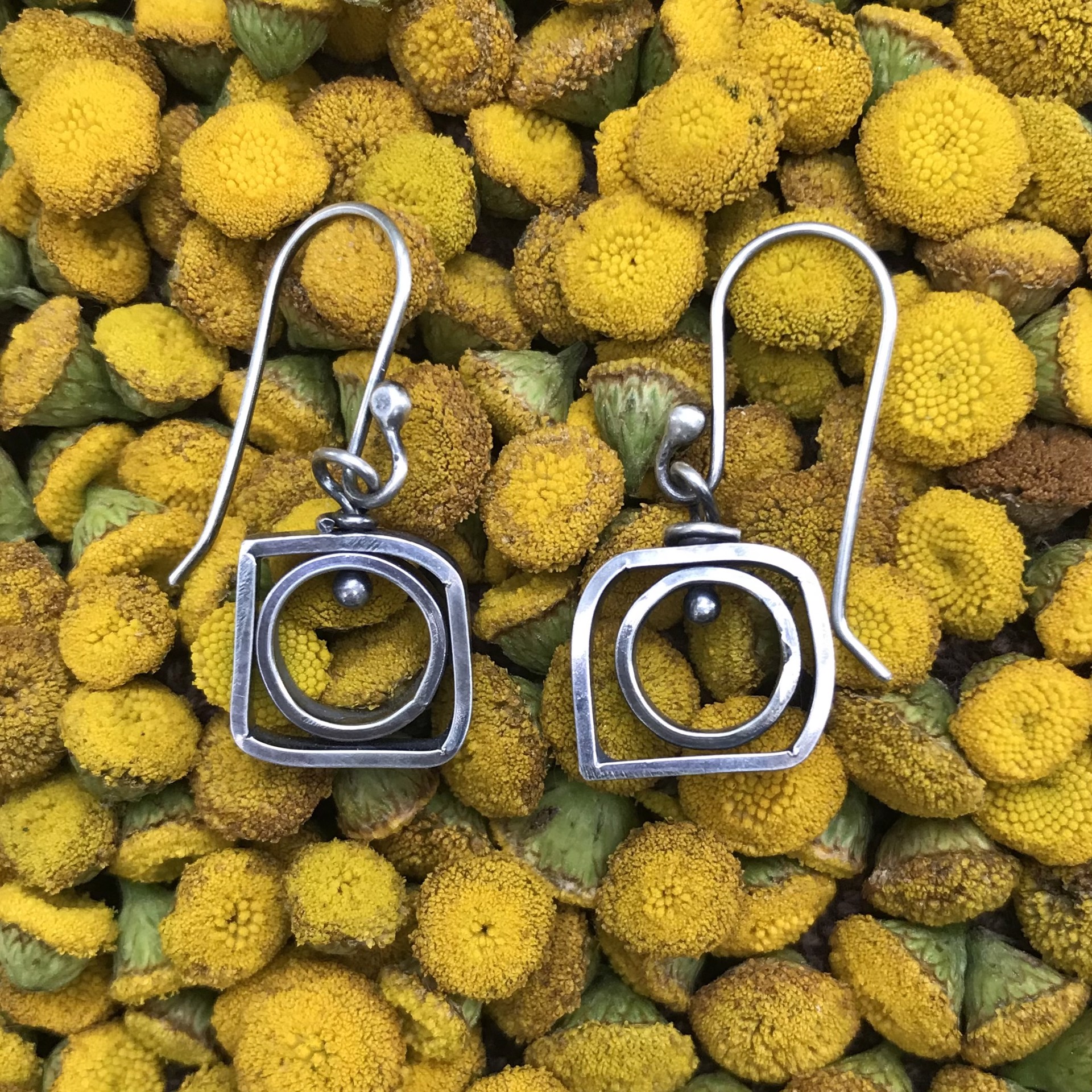 Circles in Squares Earrings by Beth Aimee