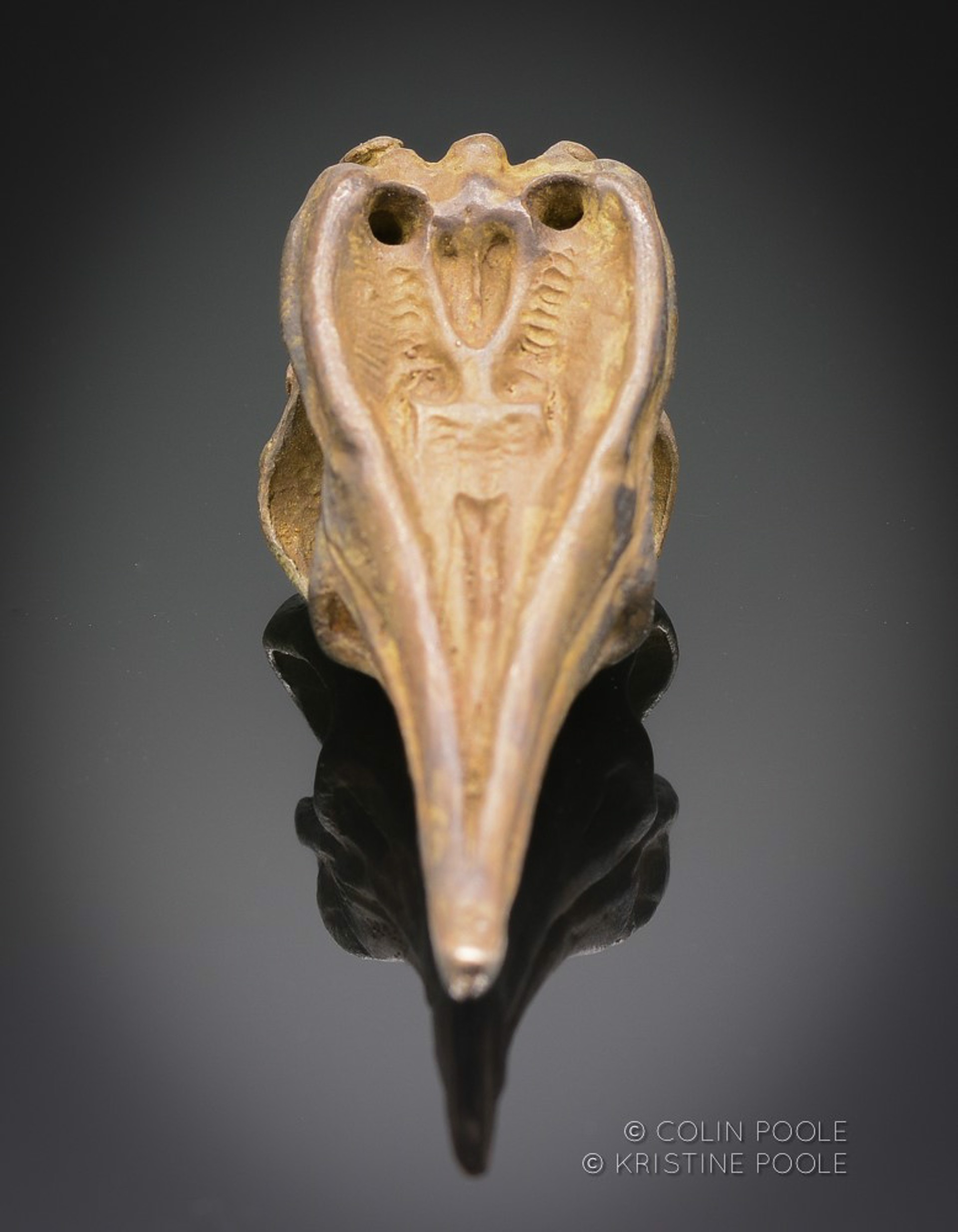 Cormorant Talisman Skull 6 by Colin & Kristine Poole