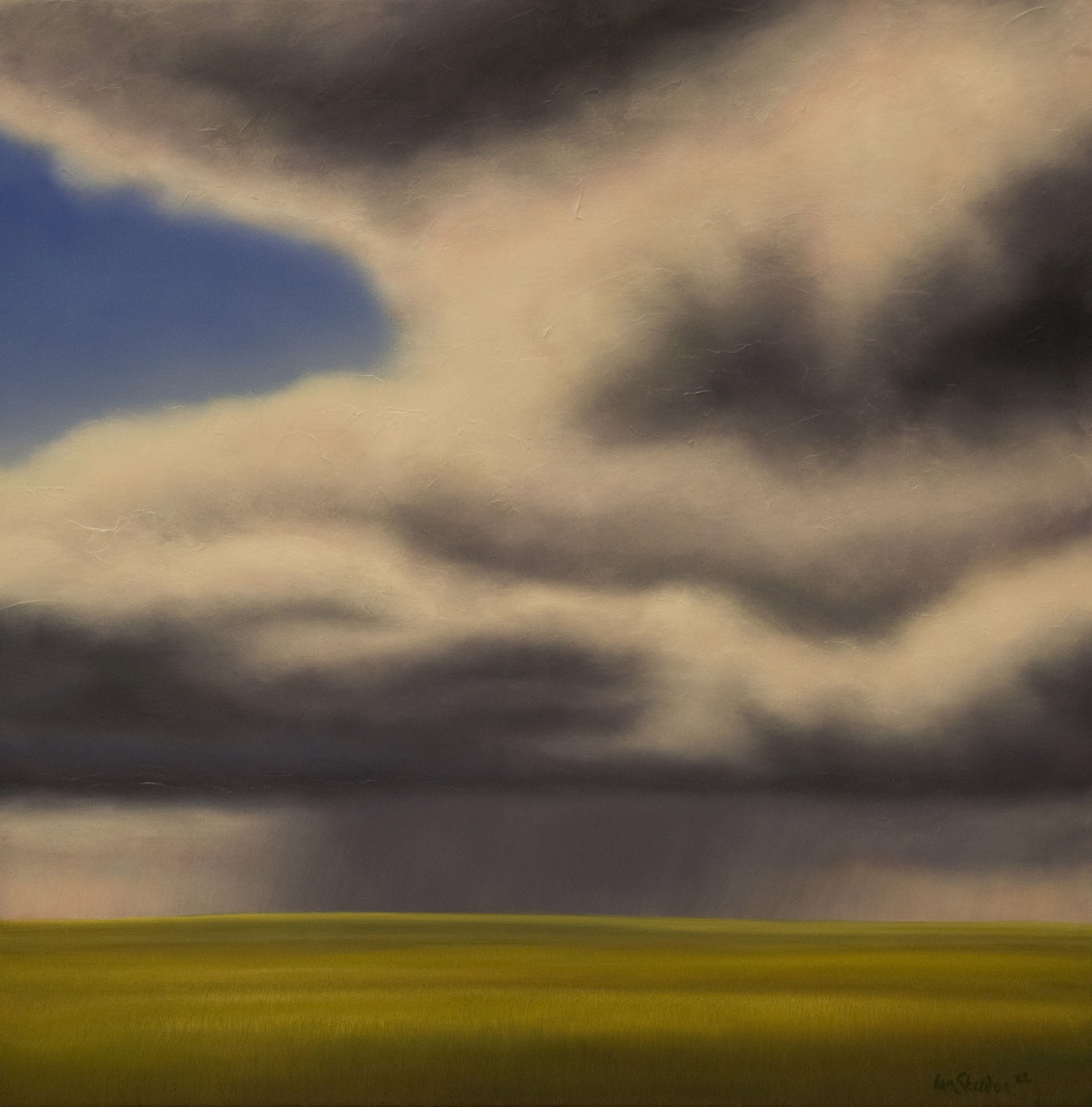 Distant Prairie Rain by Ian Sheldon
