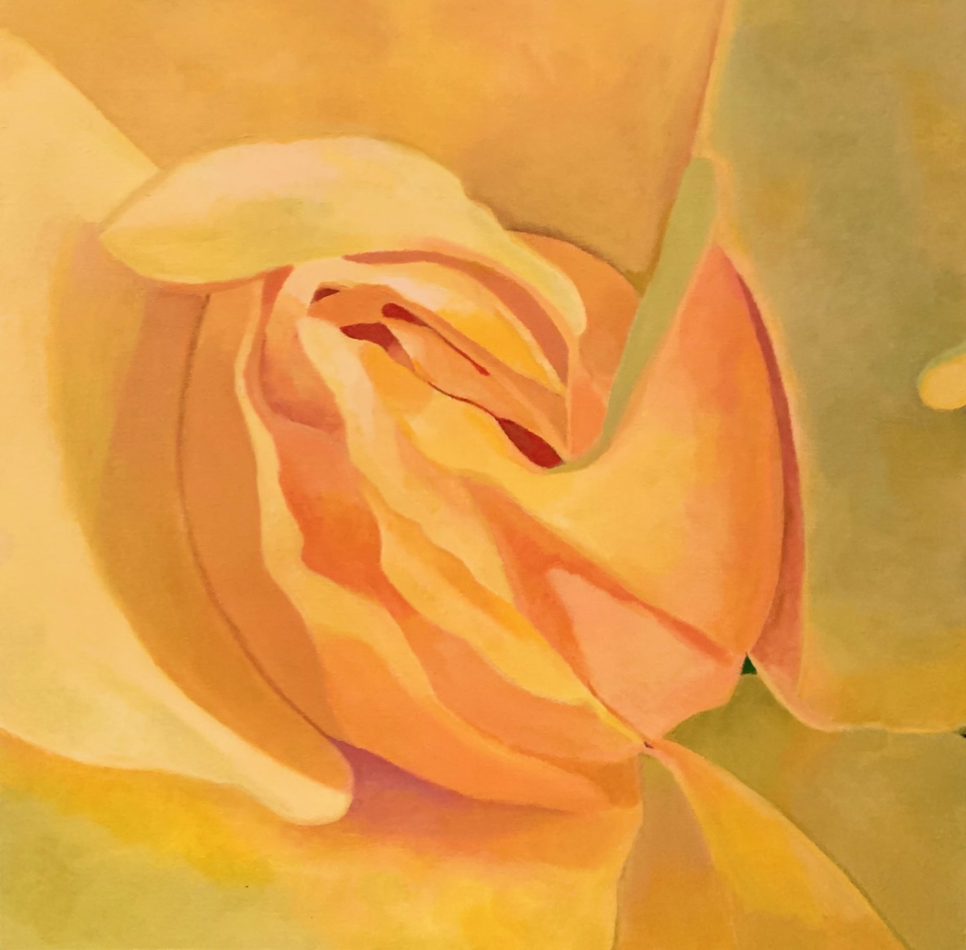 Yellow Rose by Abigail Chase Miller