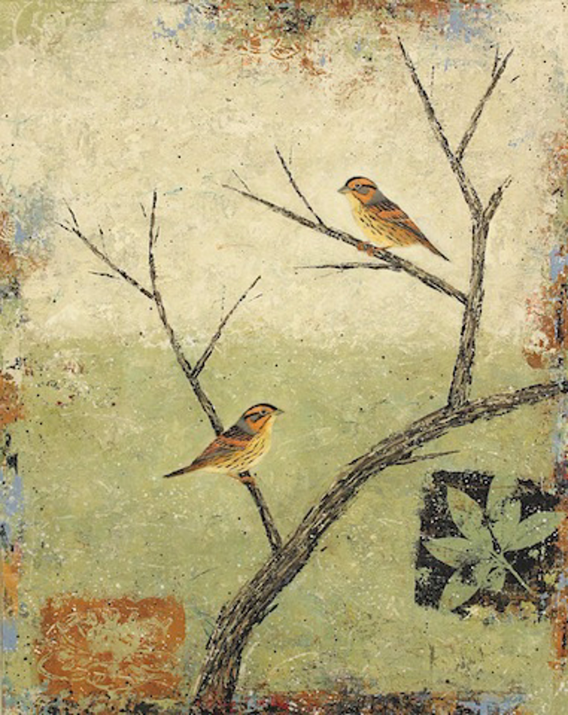 Saltmarsh Sharp-tailed Sparrows by Paul Brigham
