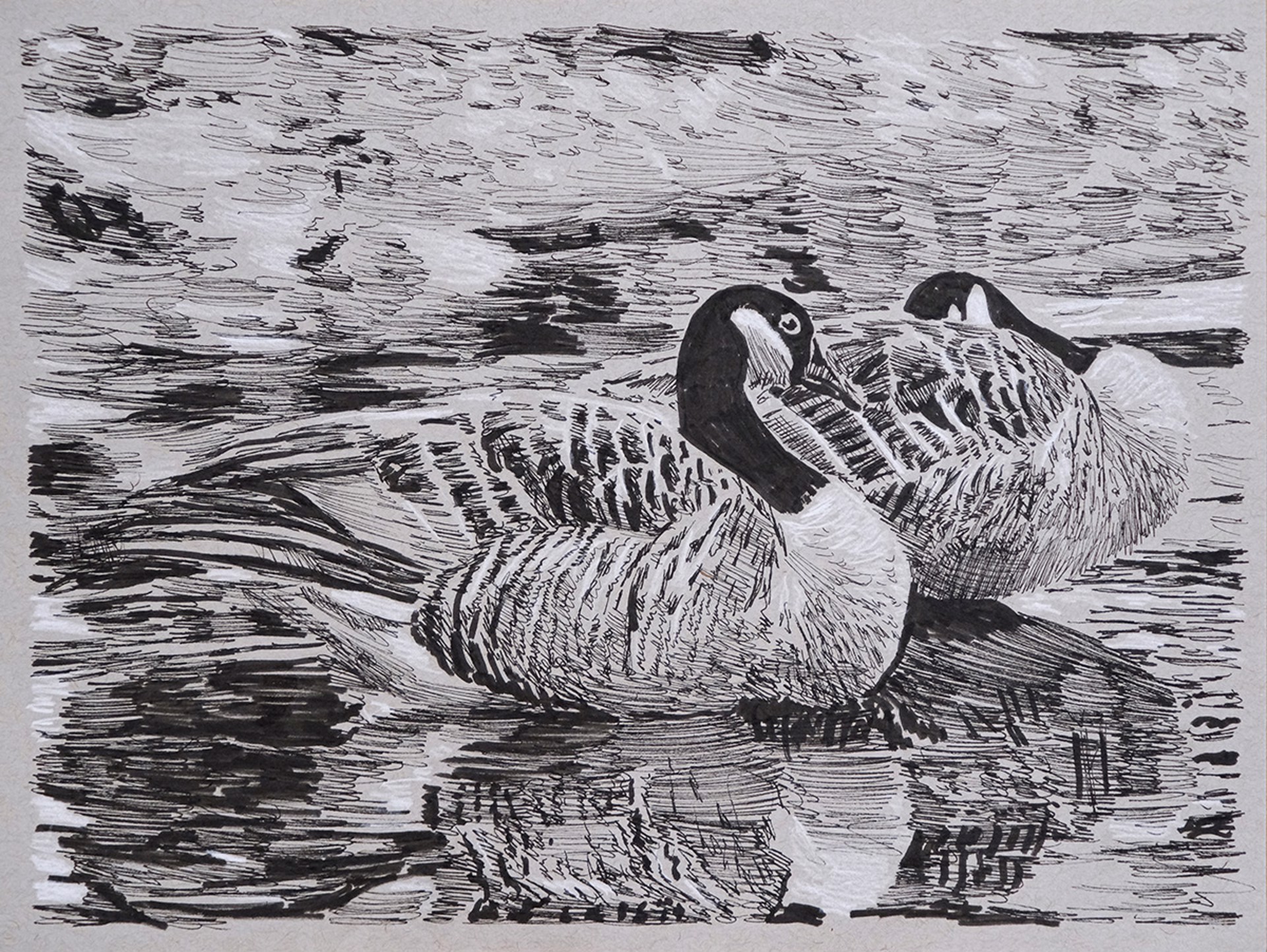 Sleeping Geese by Ed Ford