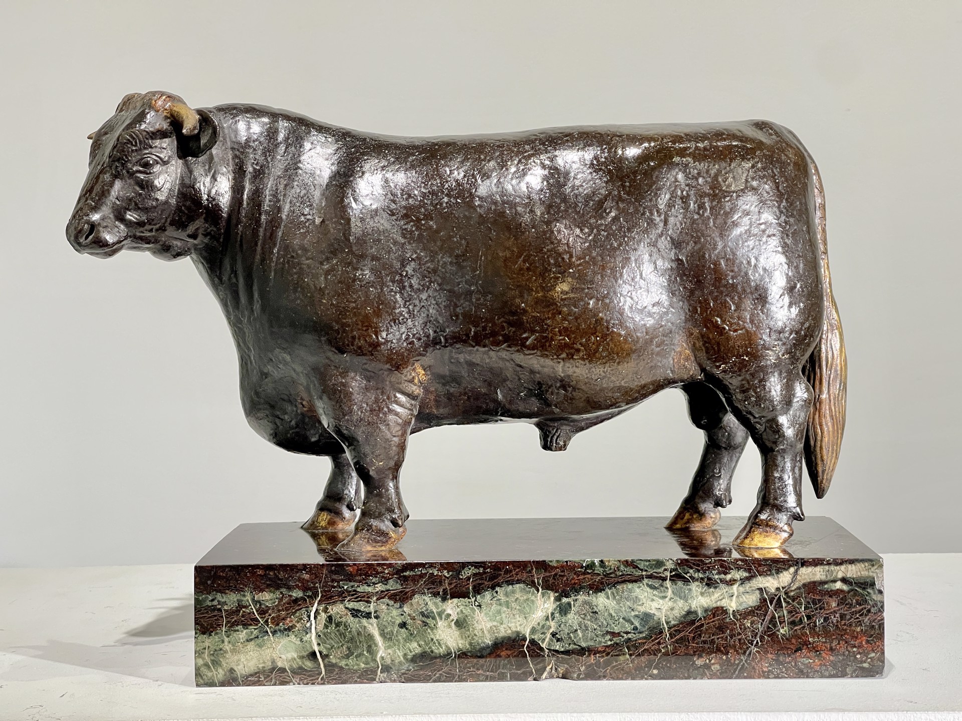 Shorthorn Bull: Bridgebank Paymaster by Herbert Haseltine