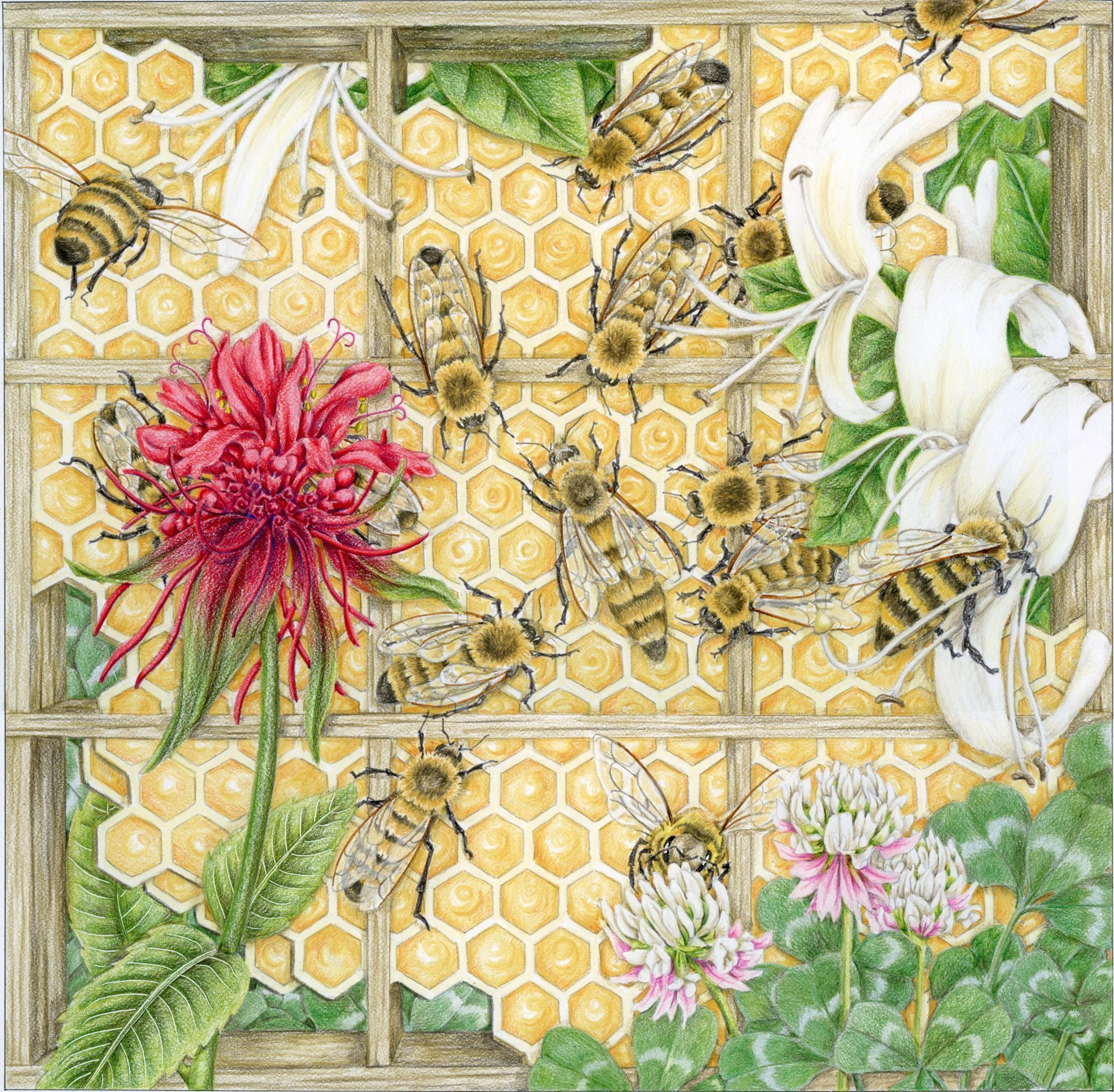 Novena to St Gobnait for the Bees by Mary Lee Eggart