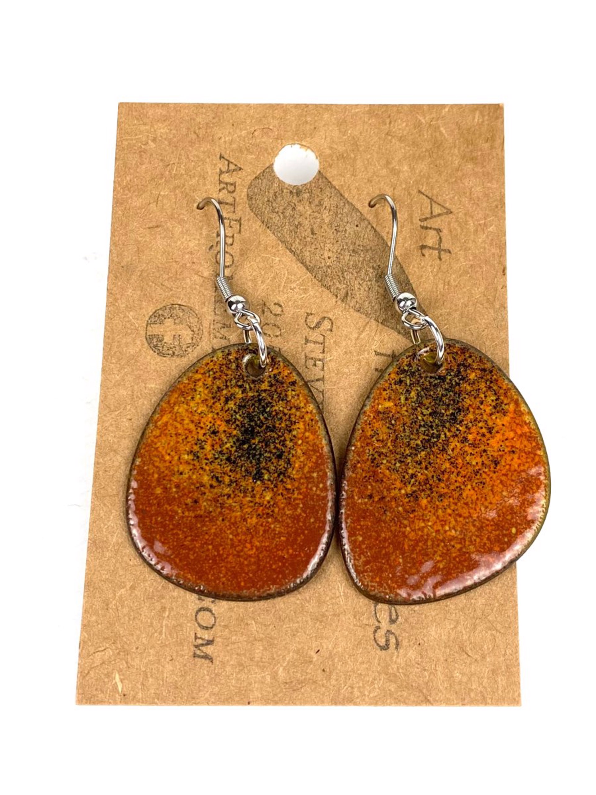 Earrings by Steve Smith