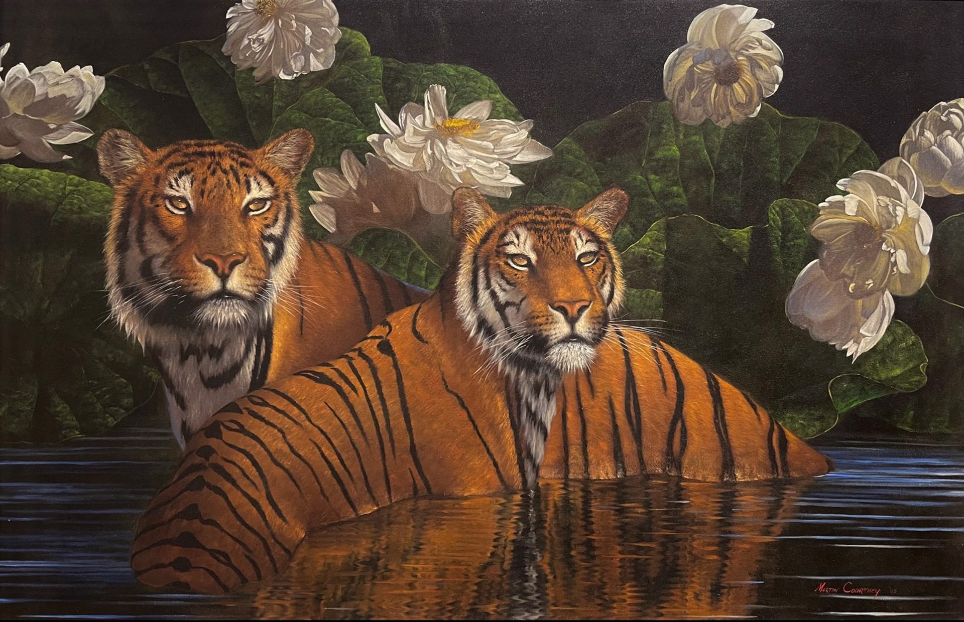 Reflection of Tigers by Martin Courtney