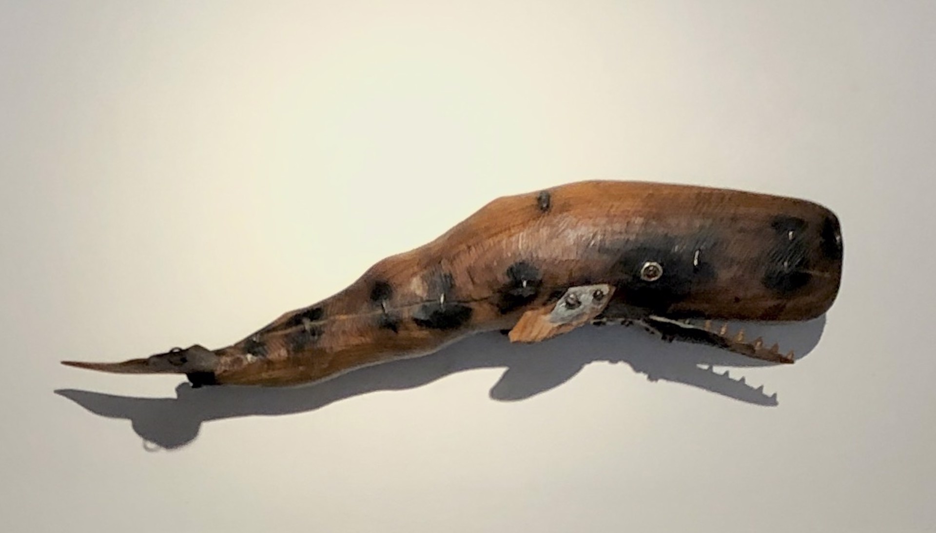 Depth Finder (Sperm whale) by Geoffrey Gorman