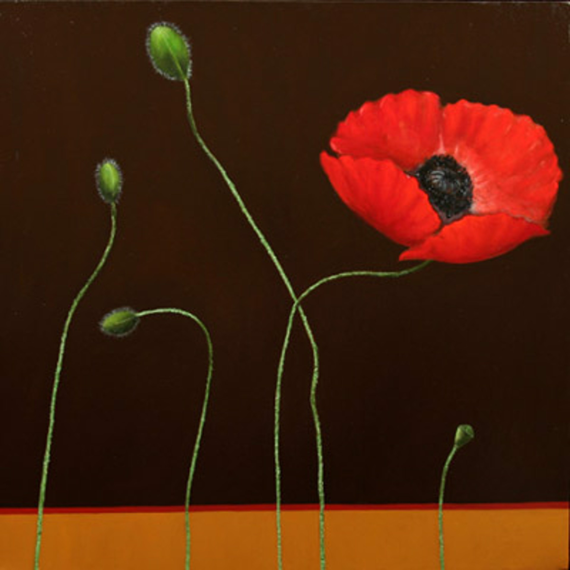 Poppies by Bill Chisholm