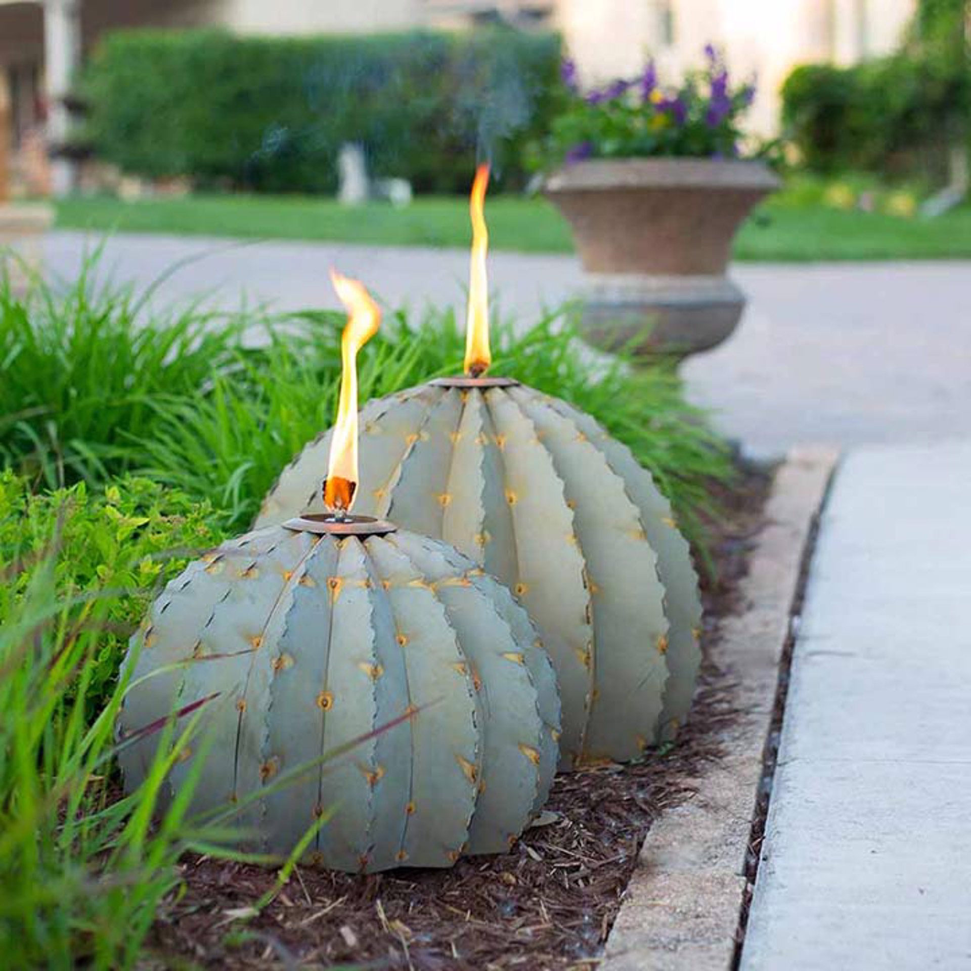 Small Golden Barrel Cactus Torch by Desert Steel