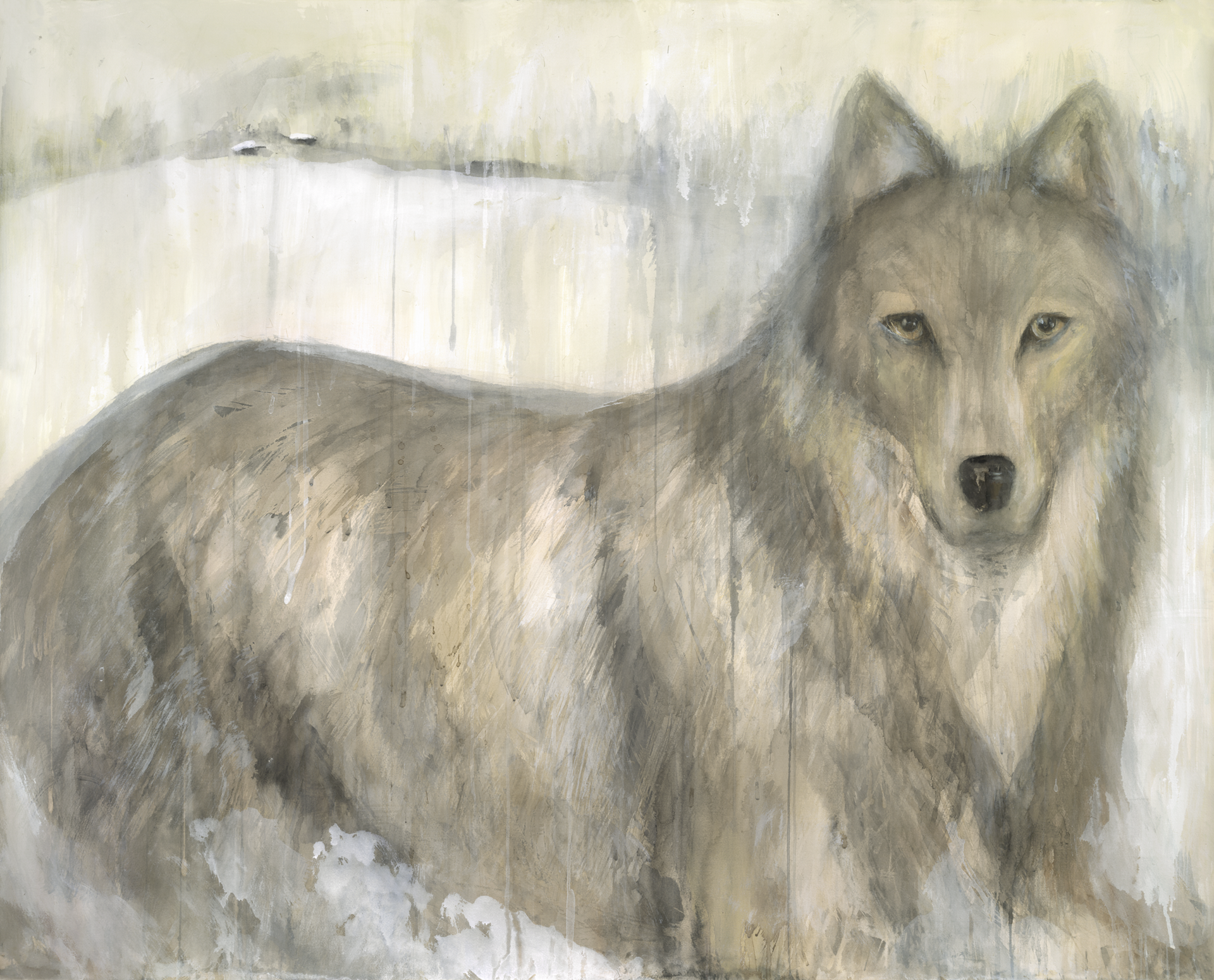 Gray Wolf 10/20 by Jane Rosen