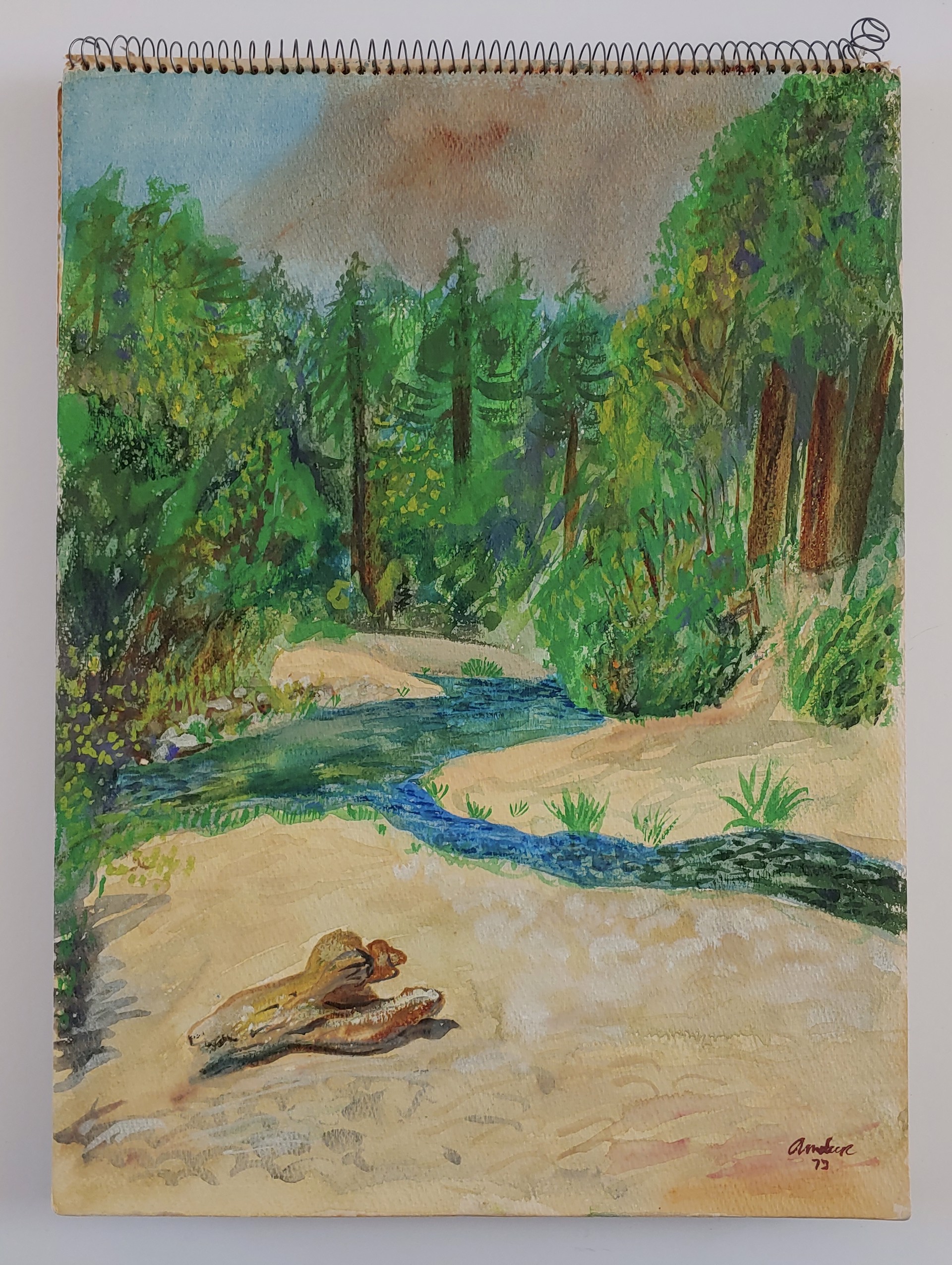 1973 Sketchbook by David Amdur