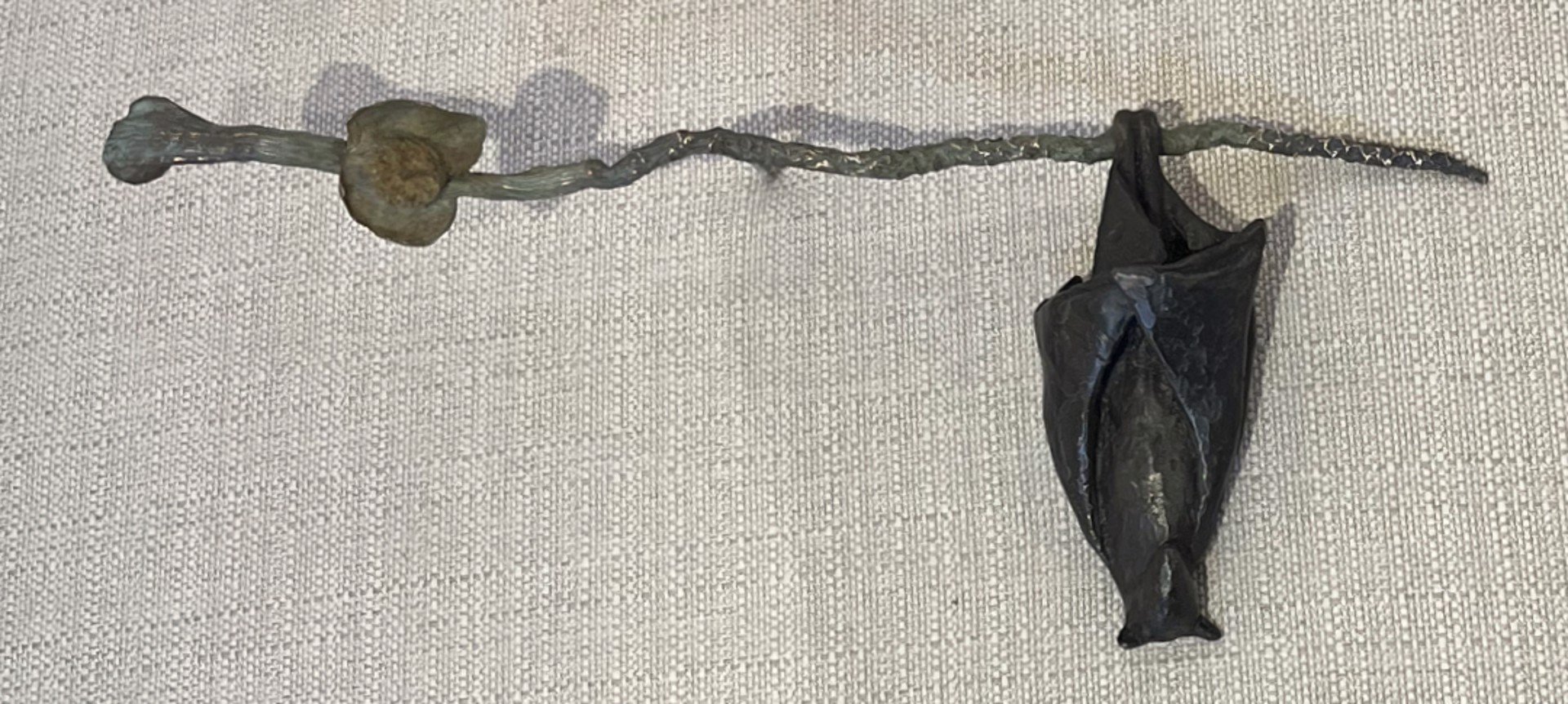 Temple Bat on a Coconut Branch, Smallish Flower by Copper Tritscheller