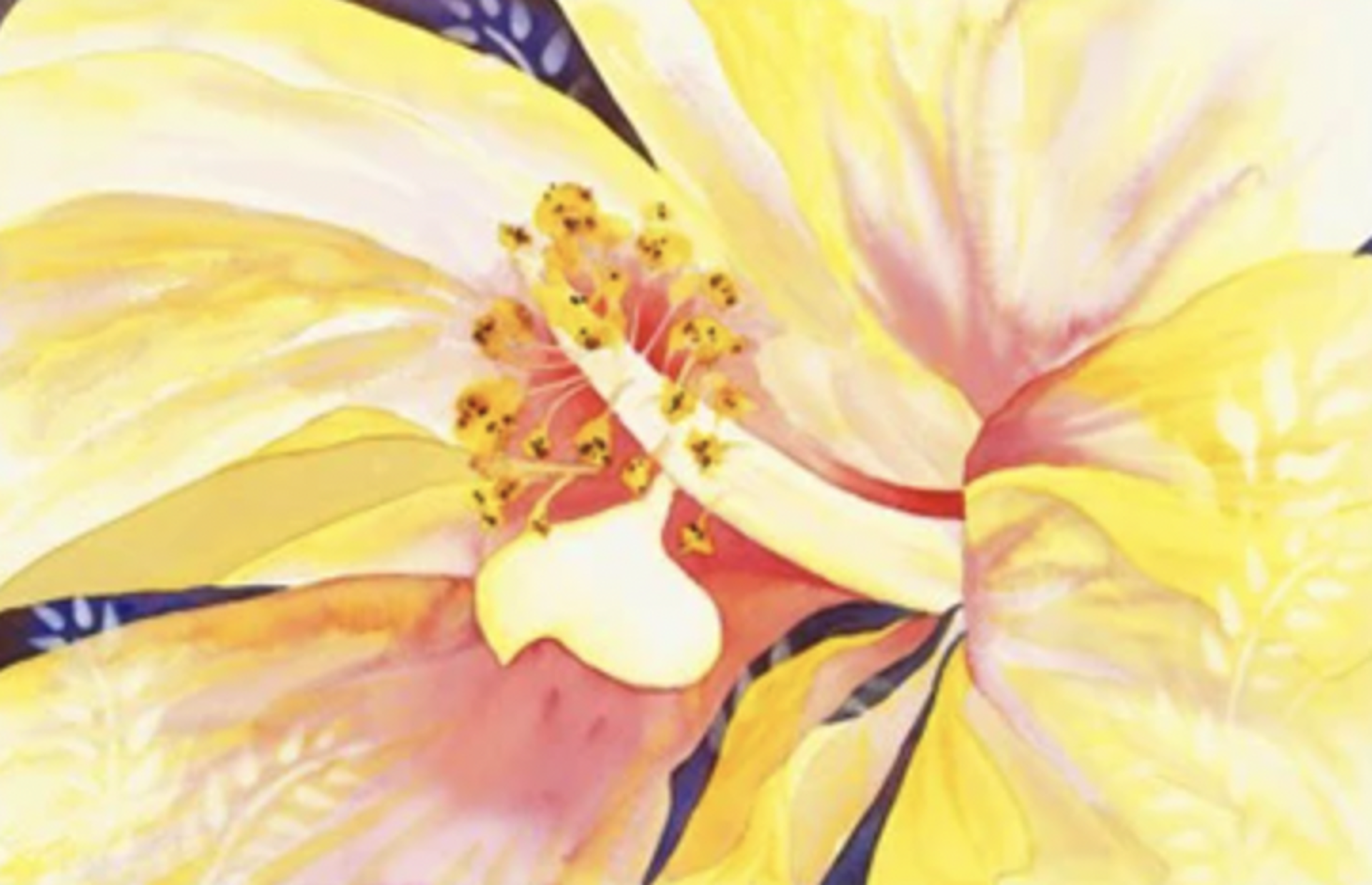 Yellow Hibiscus by Jocelyn Cheng