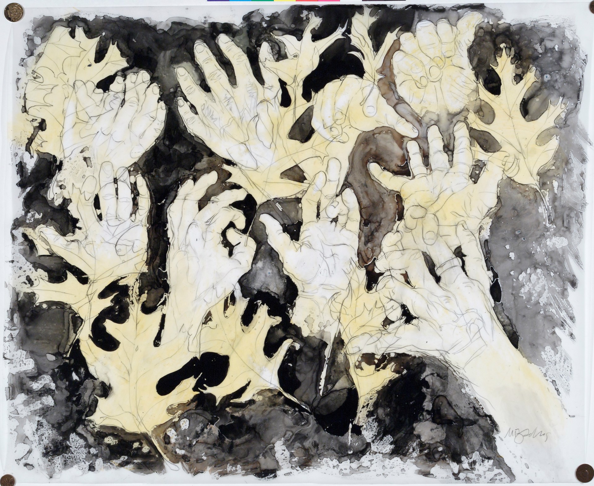 Hands and Oak Leaves by Mark Adams