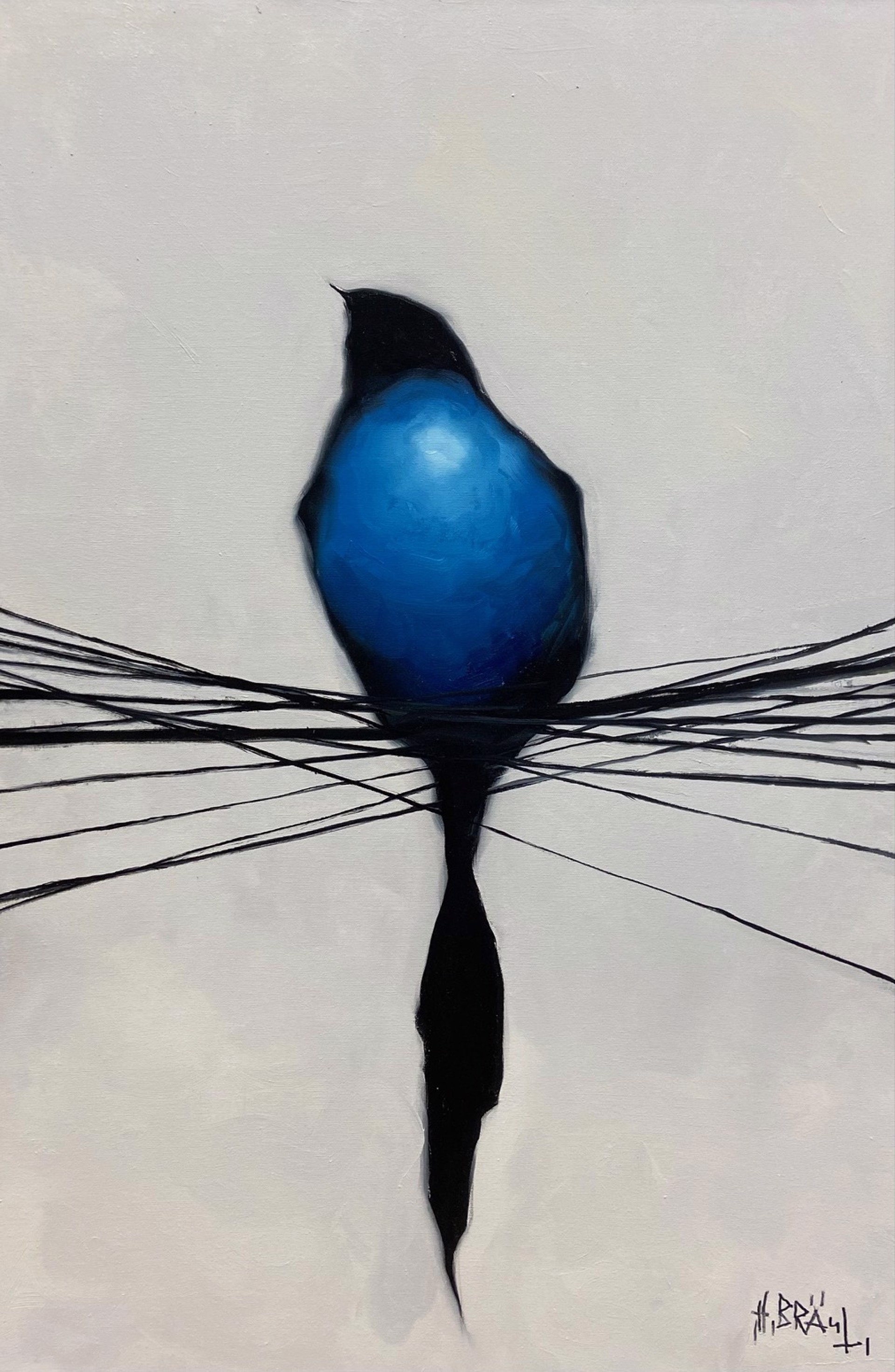 Blue Bird by Harold Braul