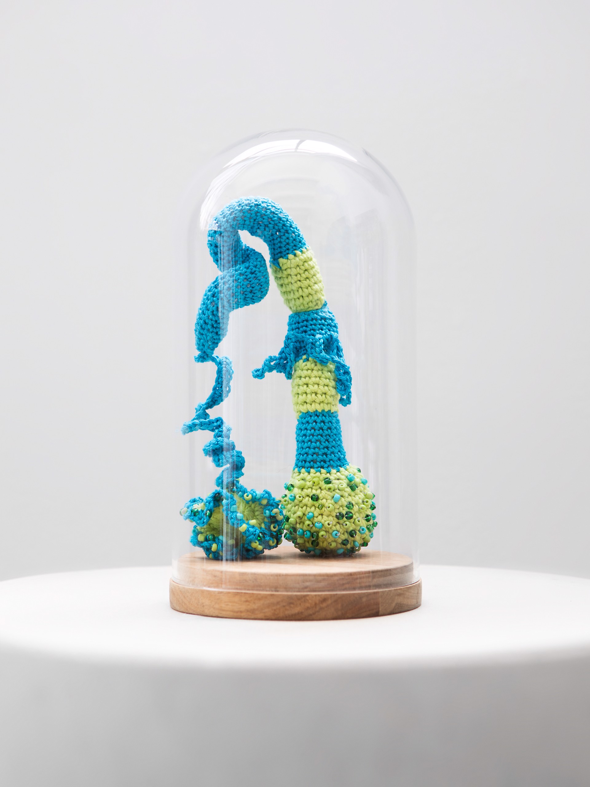Contained Bacteria  by Monica Ceballos Brenninkmeijer