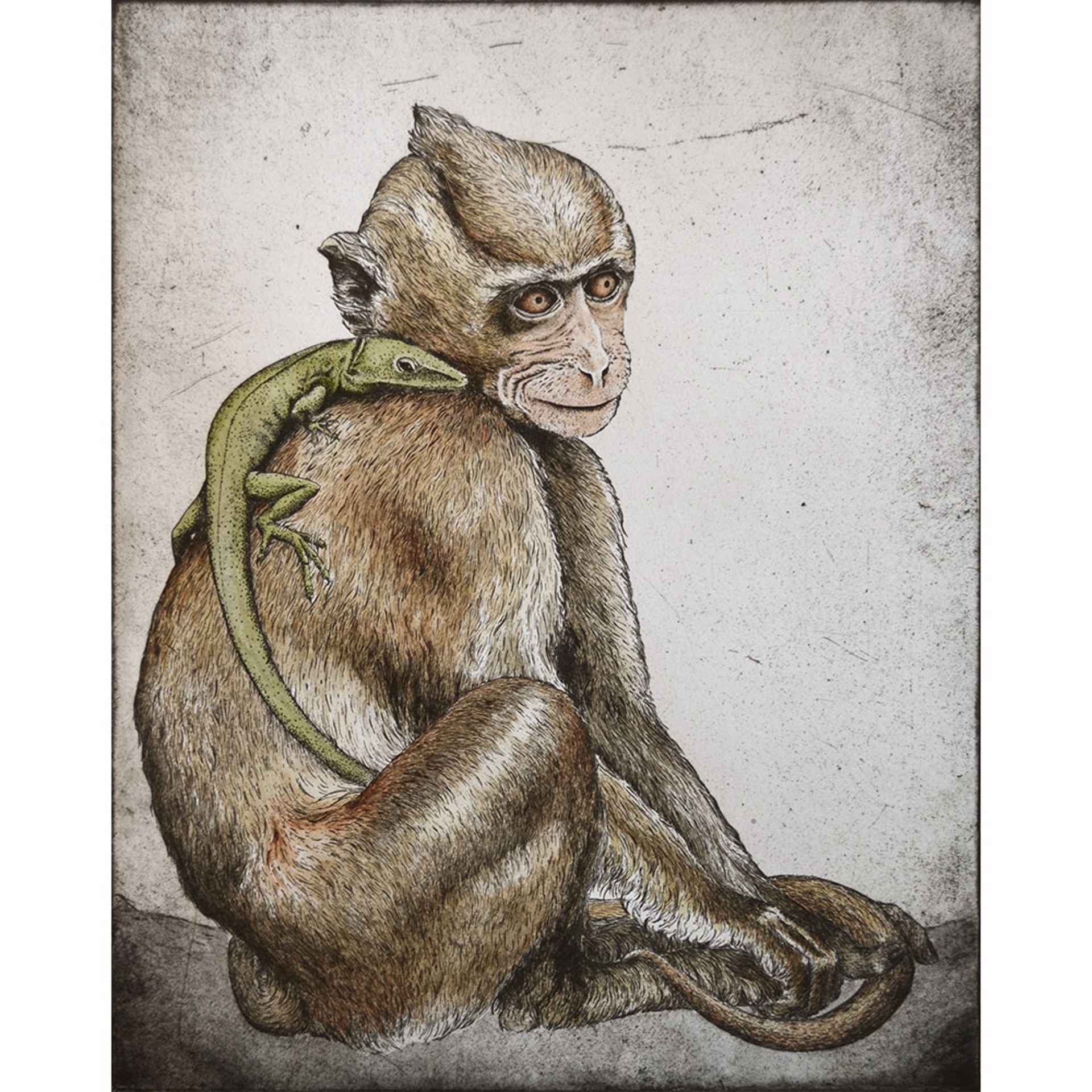 Macaque and Anole by Briony Morrow-Cribbs