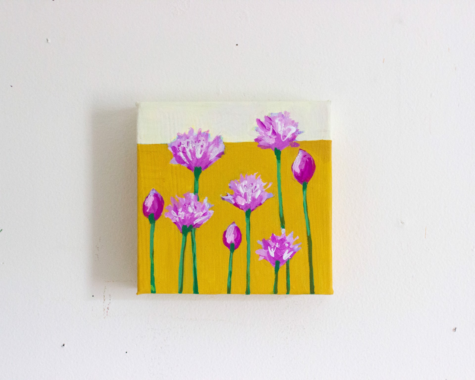 Chive Flowers II by Rachael Nerney