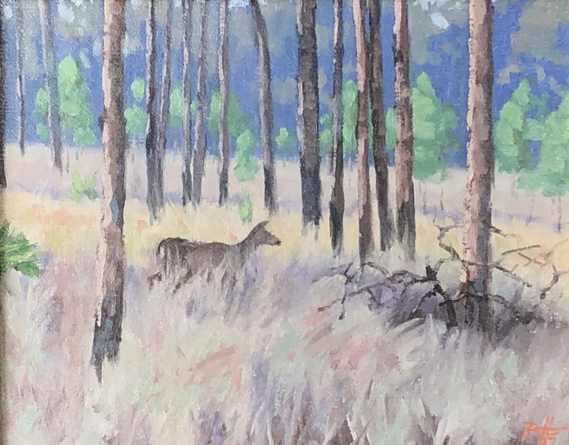 Deer Among the Pines by Randy Pitts