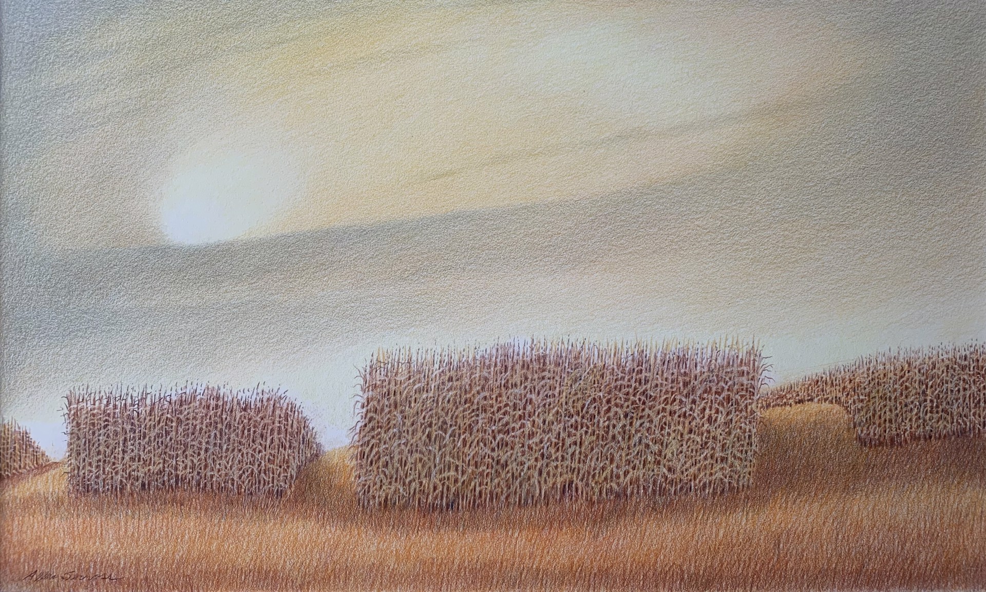 The Farmer Likes Order by Allan Servoss