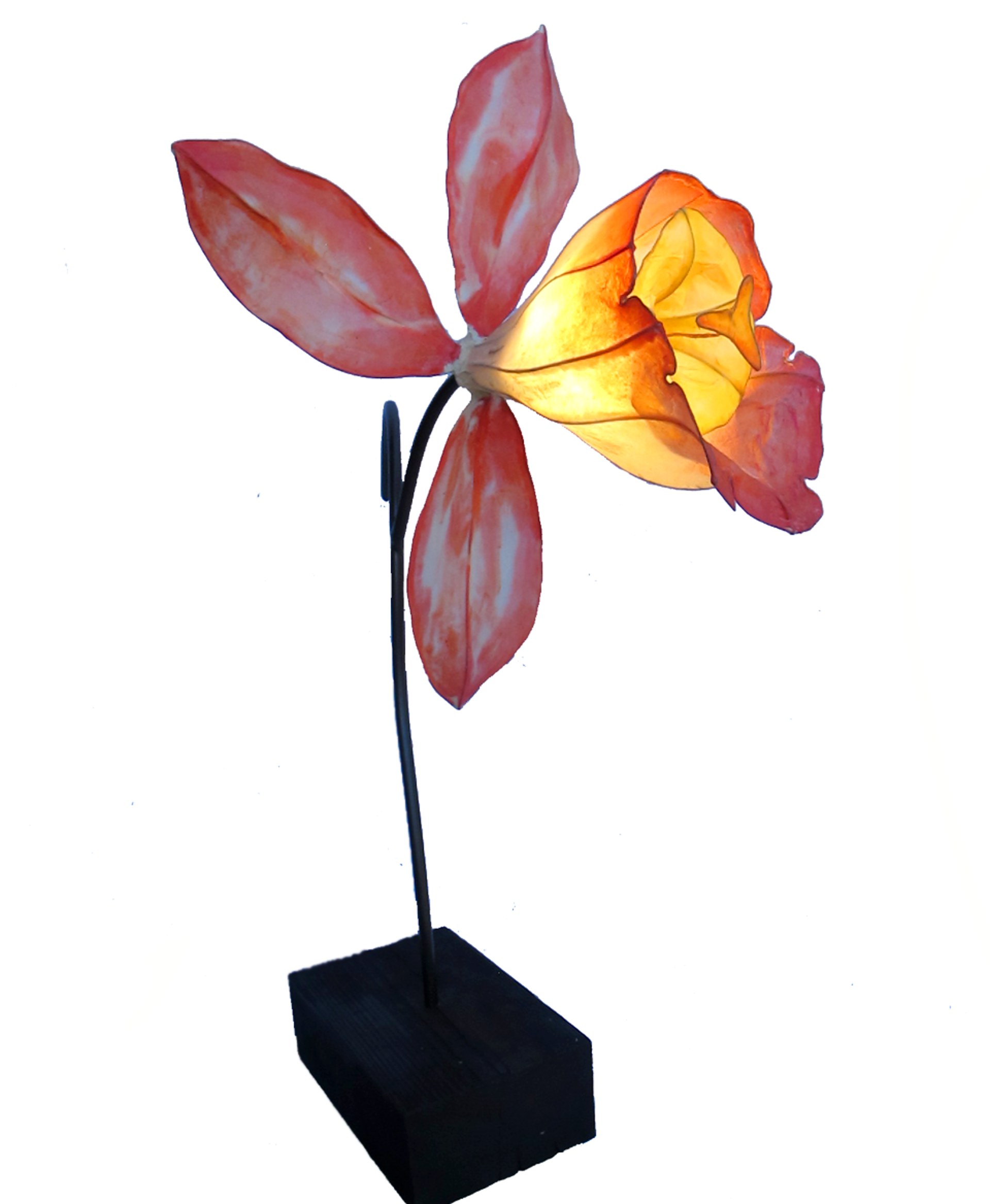 Self Pollinating | Crimson Orchid by HiiH Lights