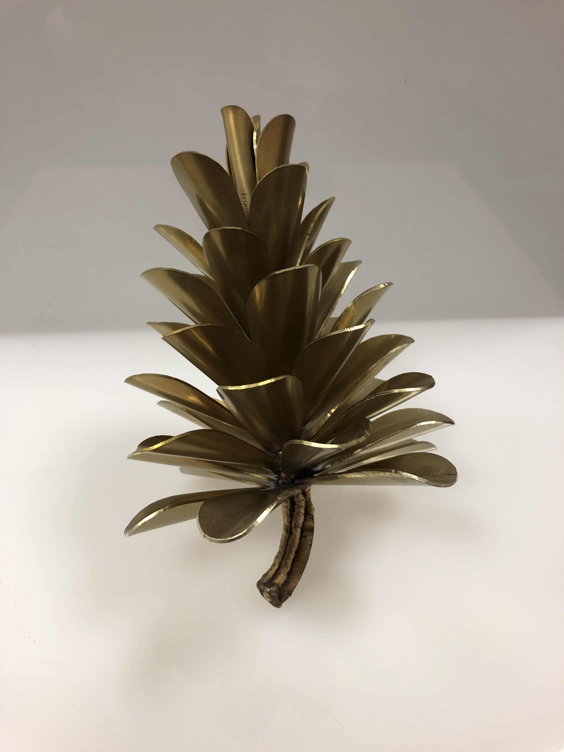 Pine Cone #19-682 by Floyd Elzinga