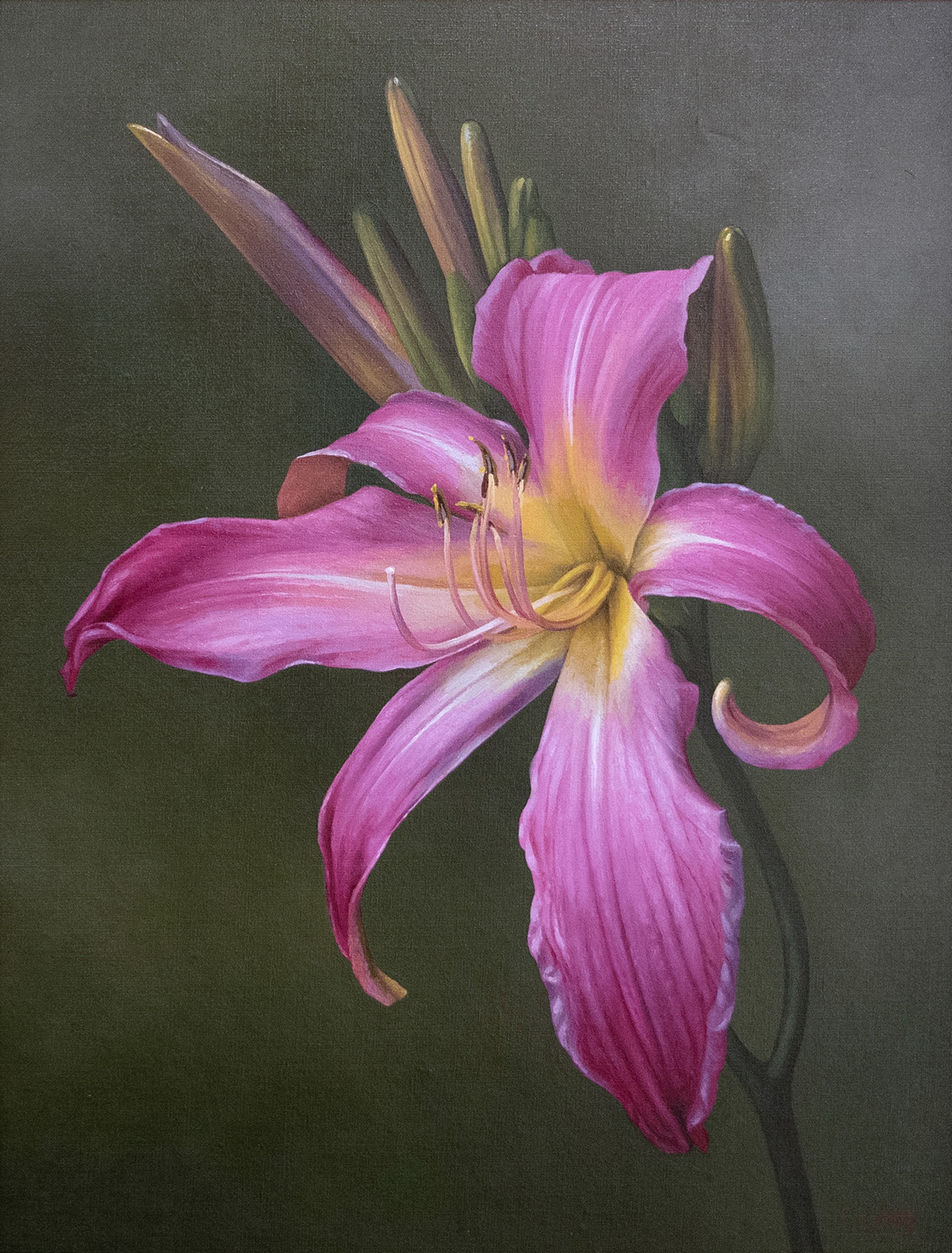 Daylily by Trish Coonrod