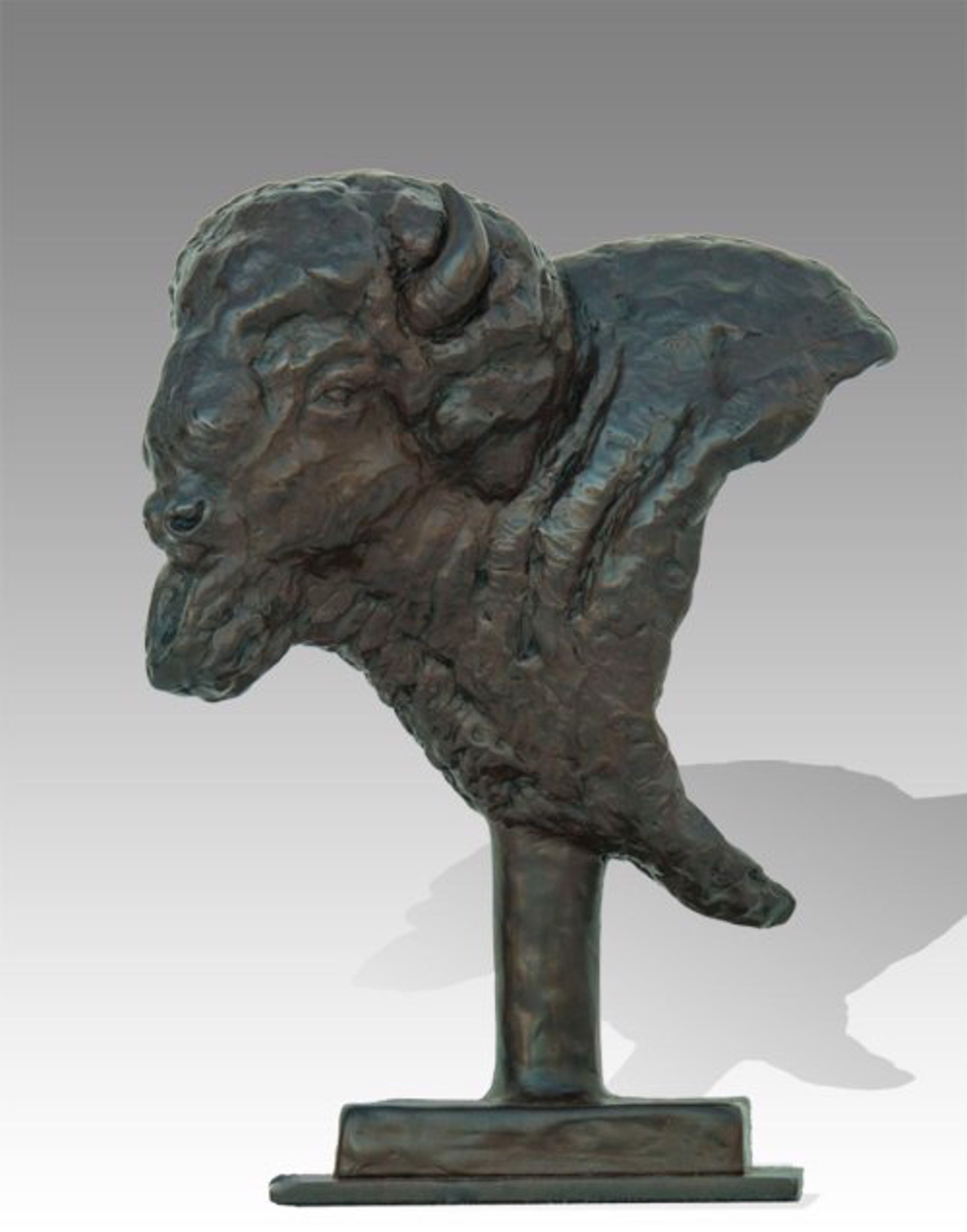 Bison Bust by Mike Barlow