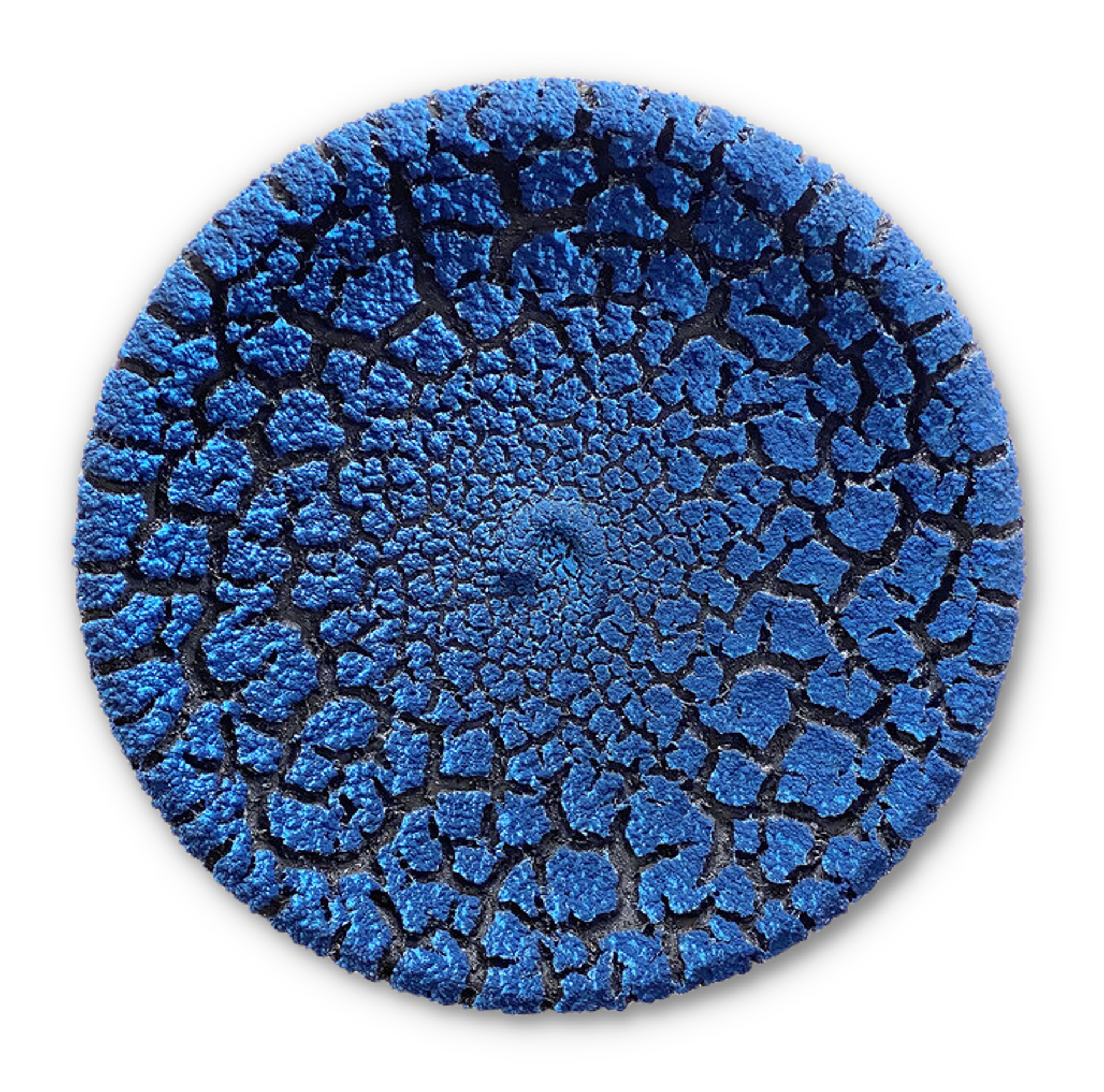 16" Lichen Platter ~ Color Choices Available by Randy O'Brien