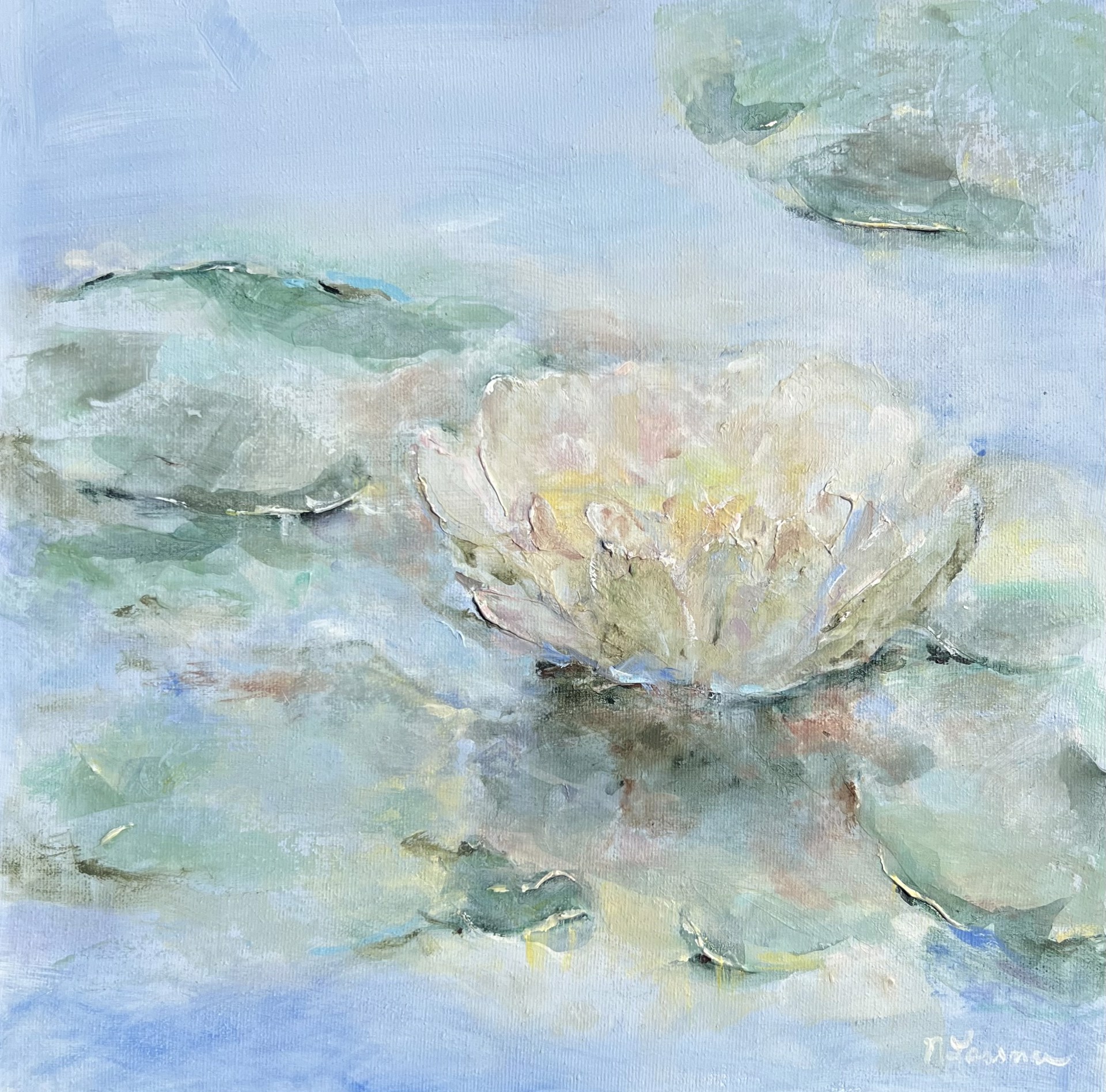 White Water Lily by Nadia Lassman