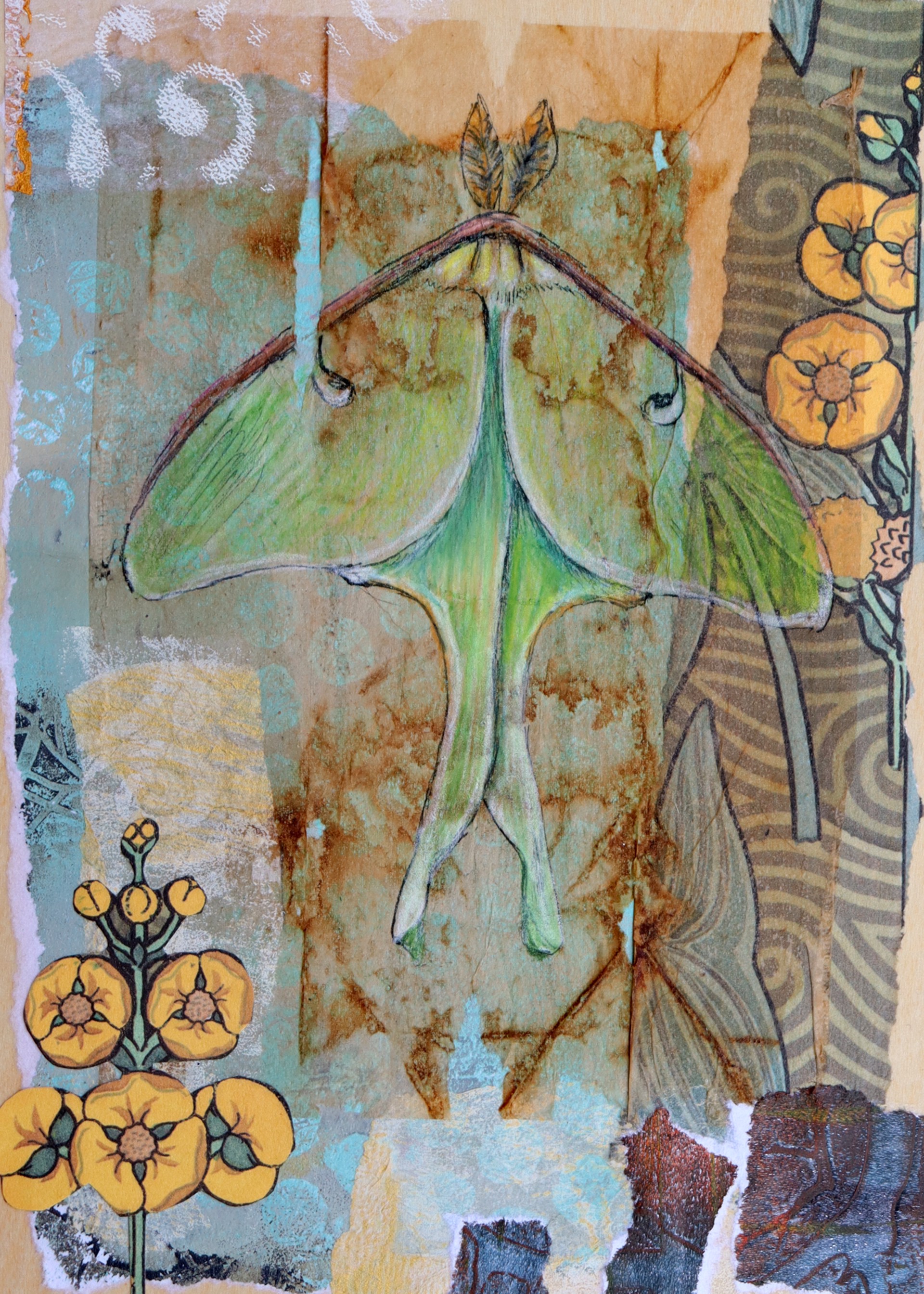 Luna Moth with Flower by Shannon Deana Johnson