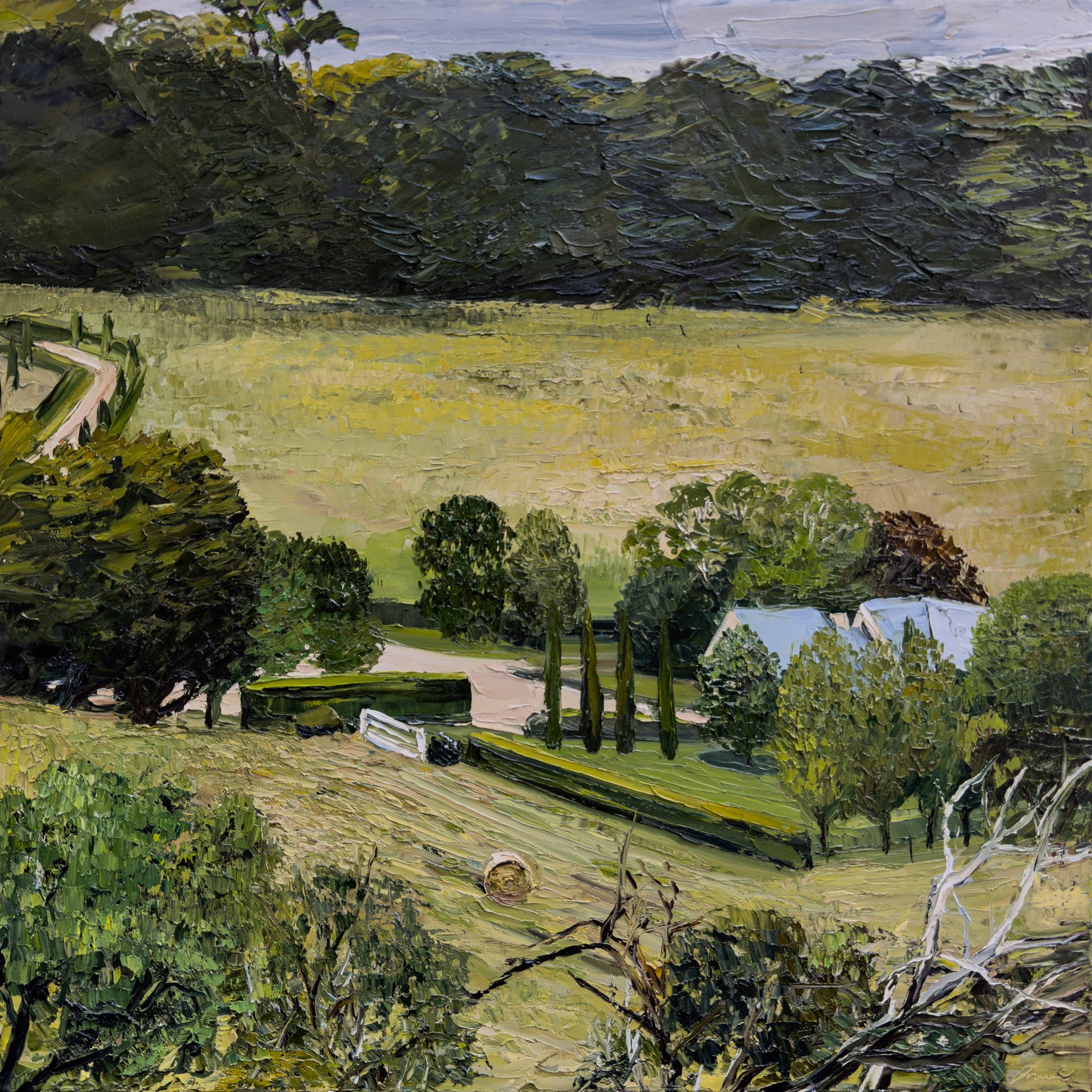 Warm Summer Days on Beechers Way (Flinders, VIC) by Emily Persson
