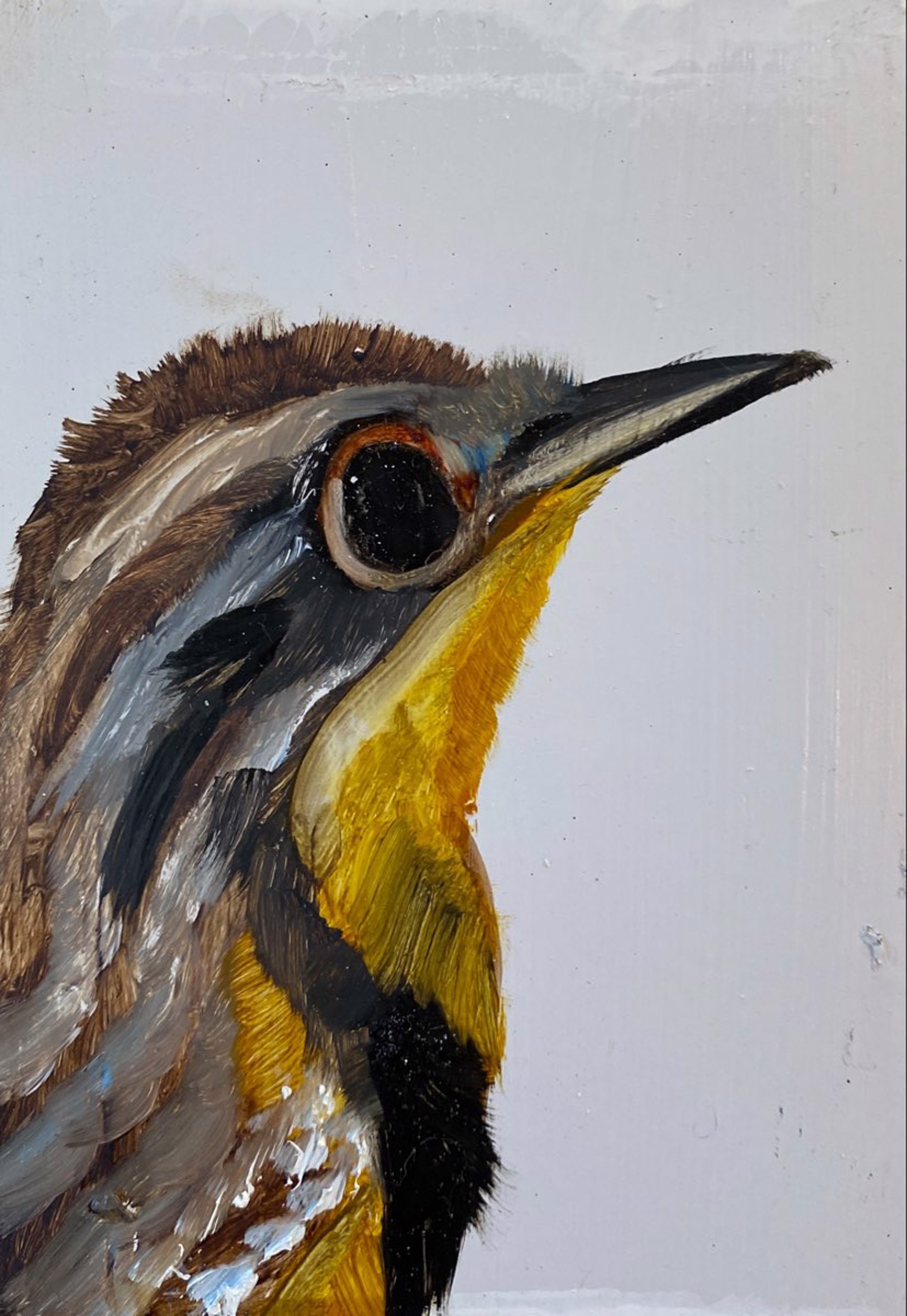 Bird Block (Yellow Belly) by Diane Kilgore Condon