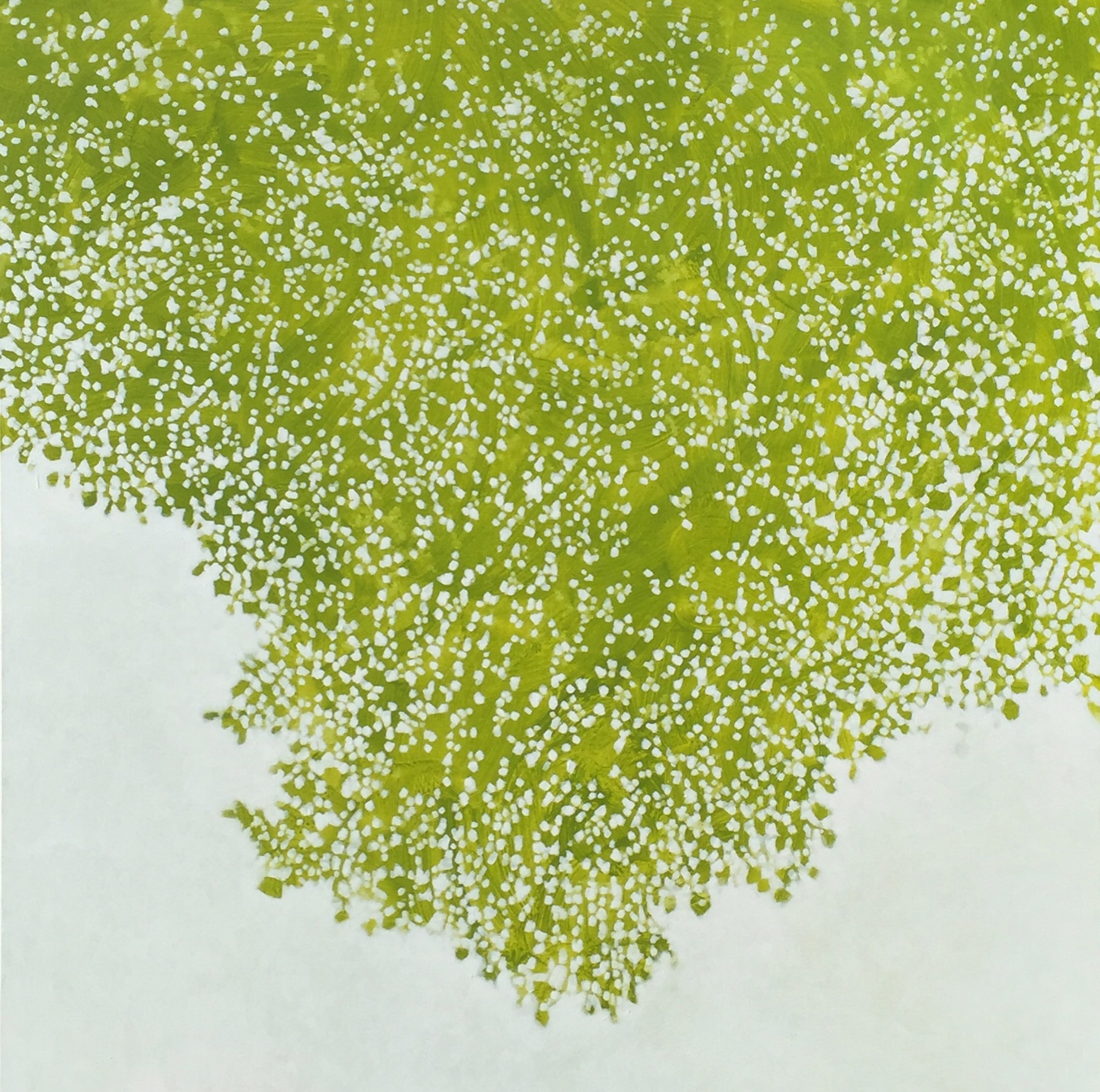 Early Spring III by David Kidd
