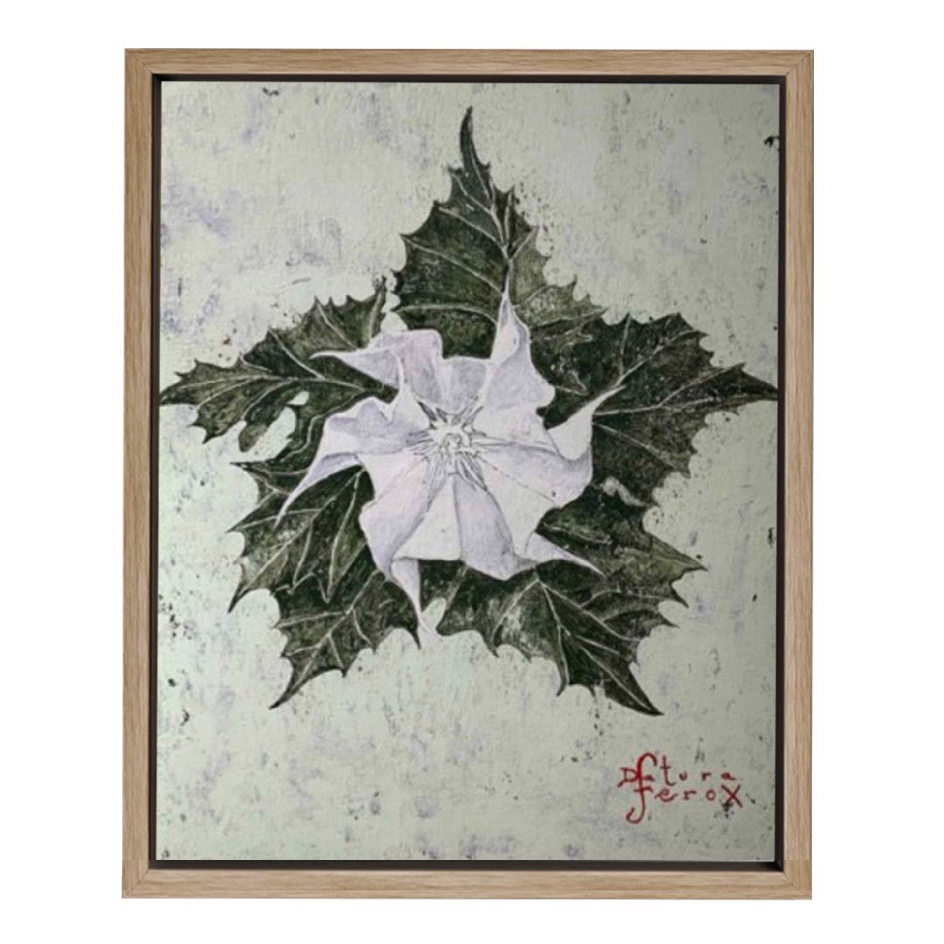 Datura Ferox by Dominique Rousserie by St Barth Artwork