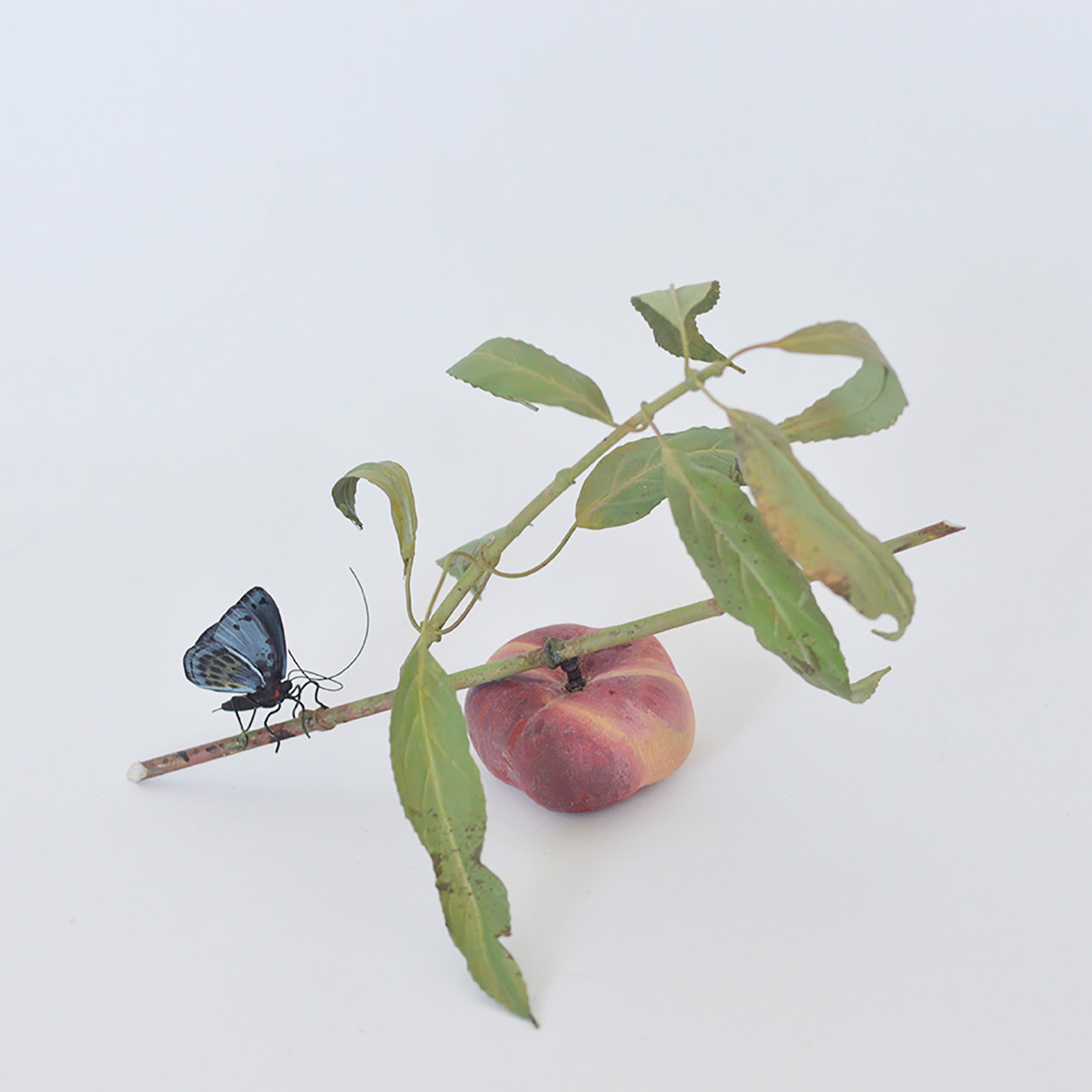 SATURN PEACH BRANCH WITH CALLITHEA BUTTERFLY by Carmen Almon