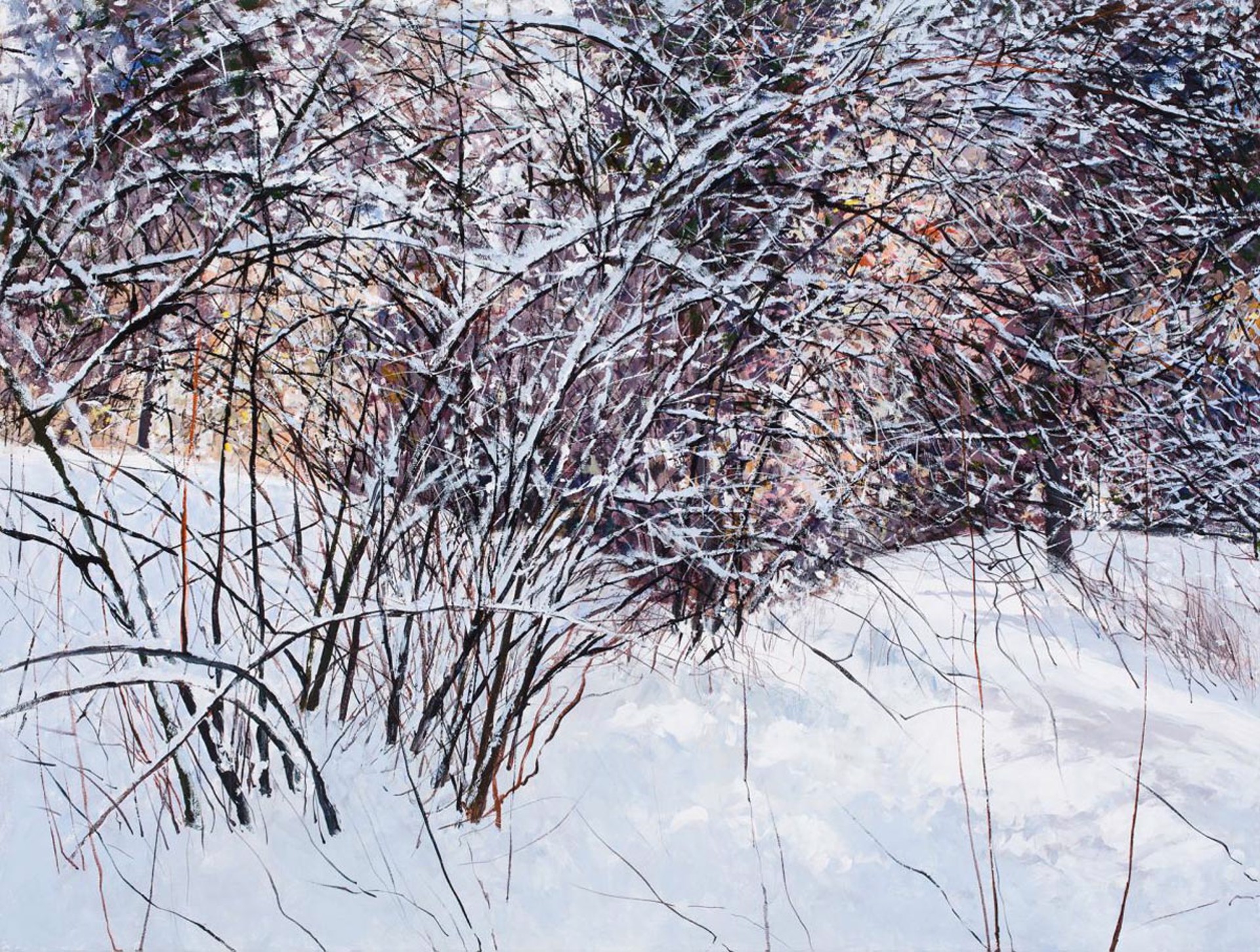 February Snow by Angelita Surmon