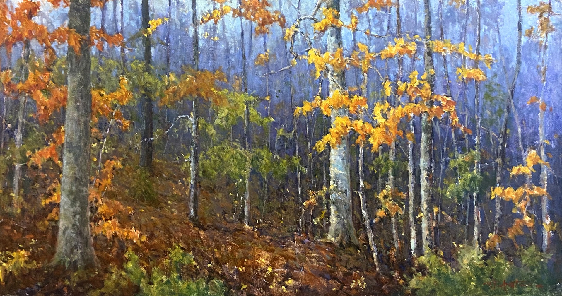 Autumn Beech by Perry Austin