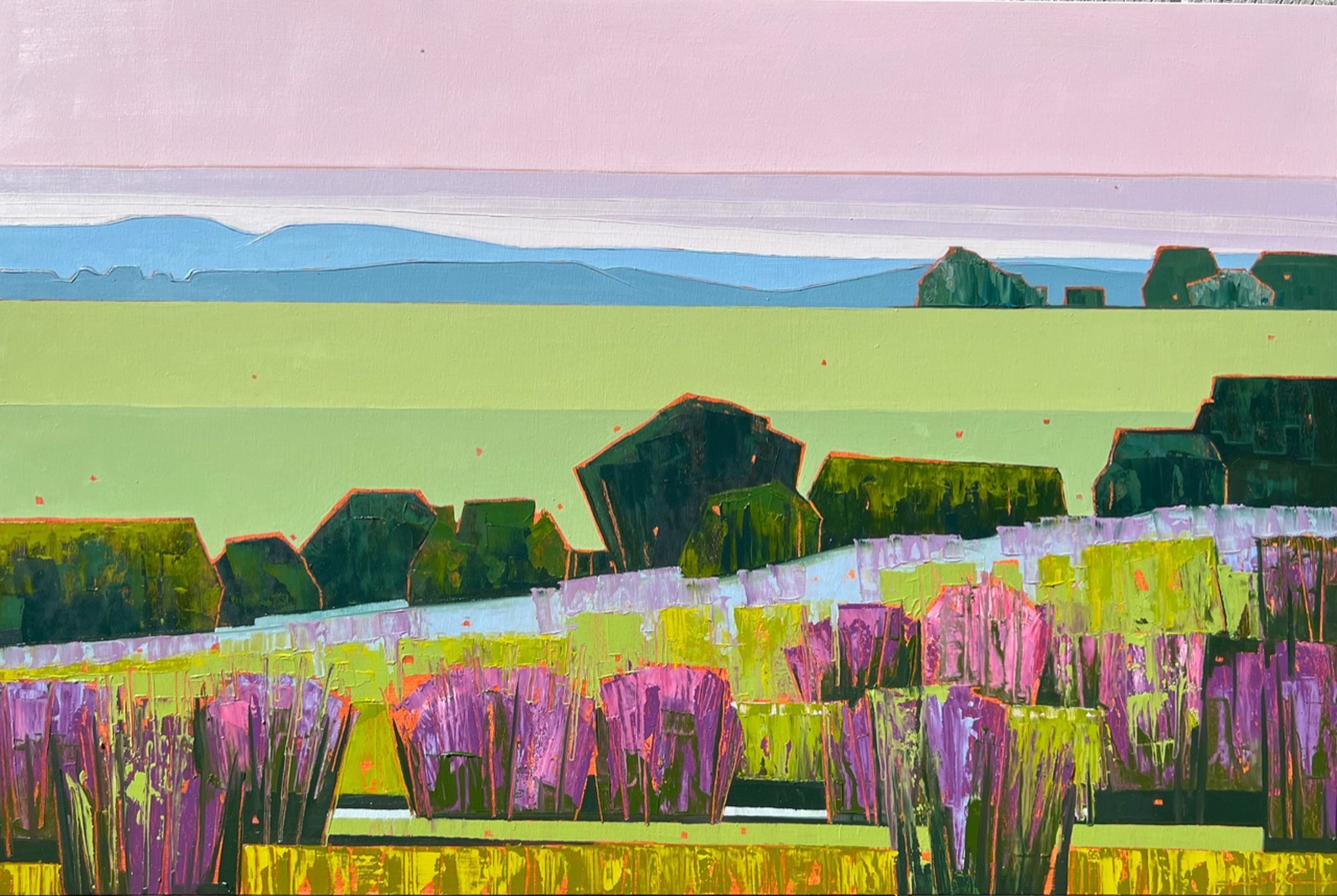 Lavender in June by Sarah Gayle Carter
