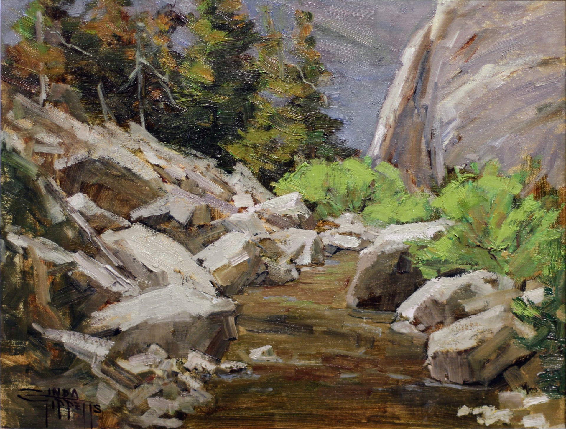 The Muddy Creek Hike by Linda Tippetts
