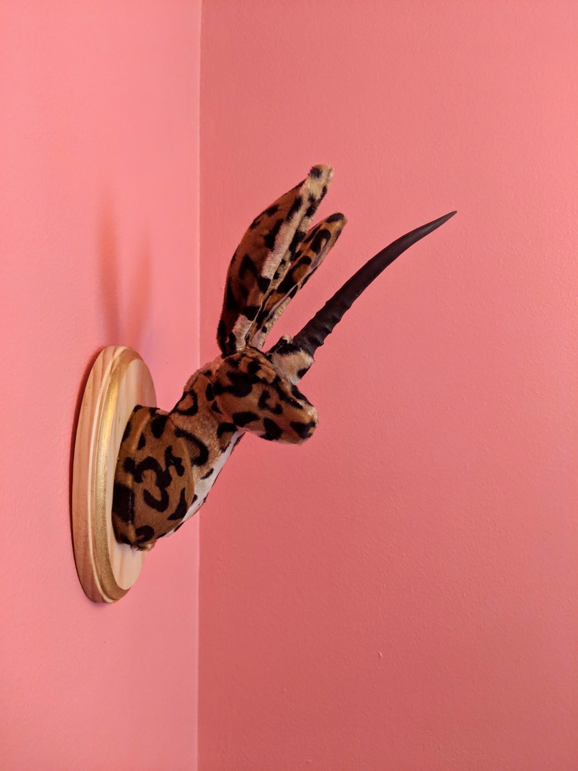 Leopard Almiraj by Caitlin Fitzgerald