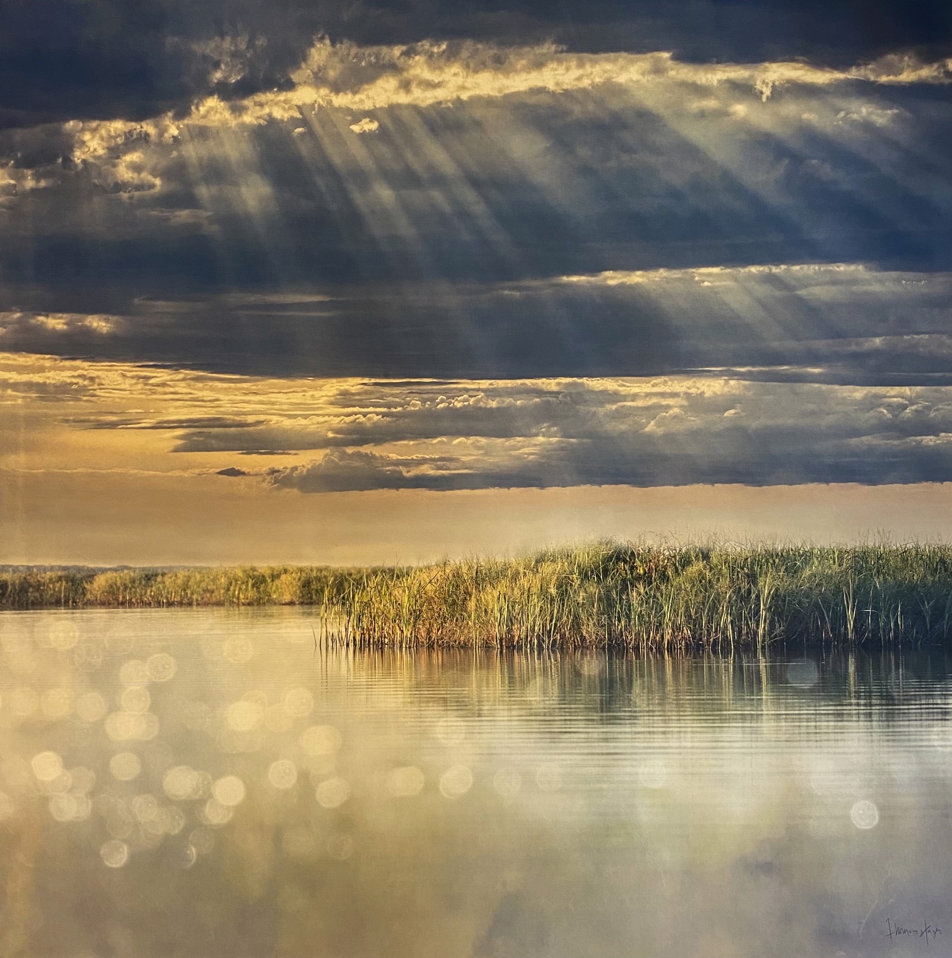 After Storm Marsh by Thomas Hager