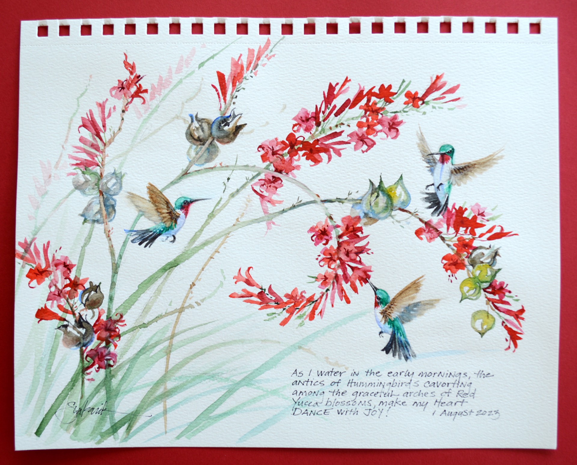 Hummingbird Antics by Mikki Senkarik