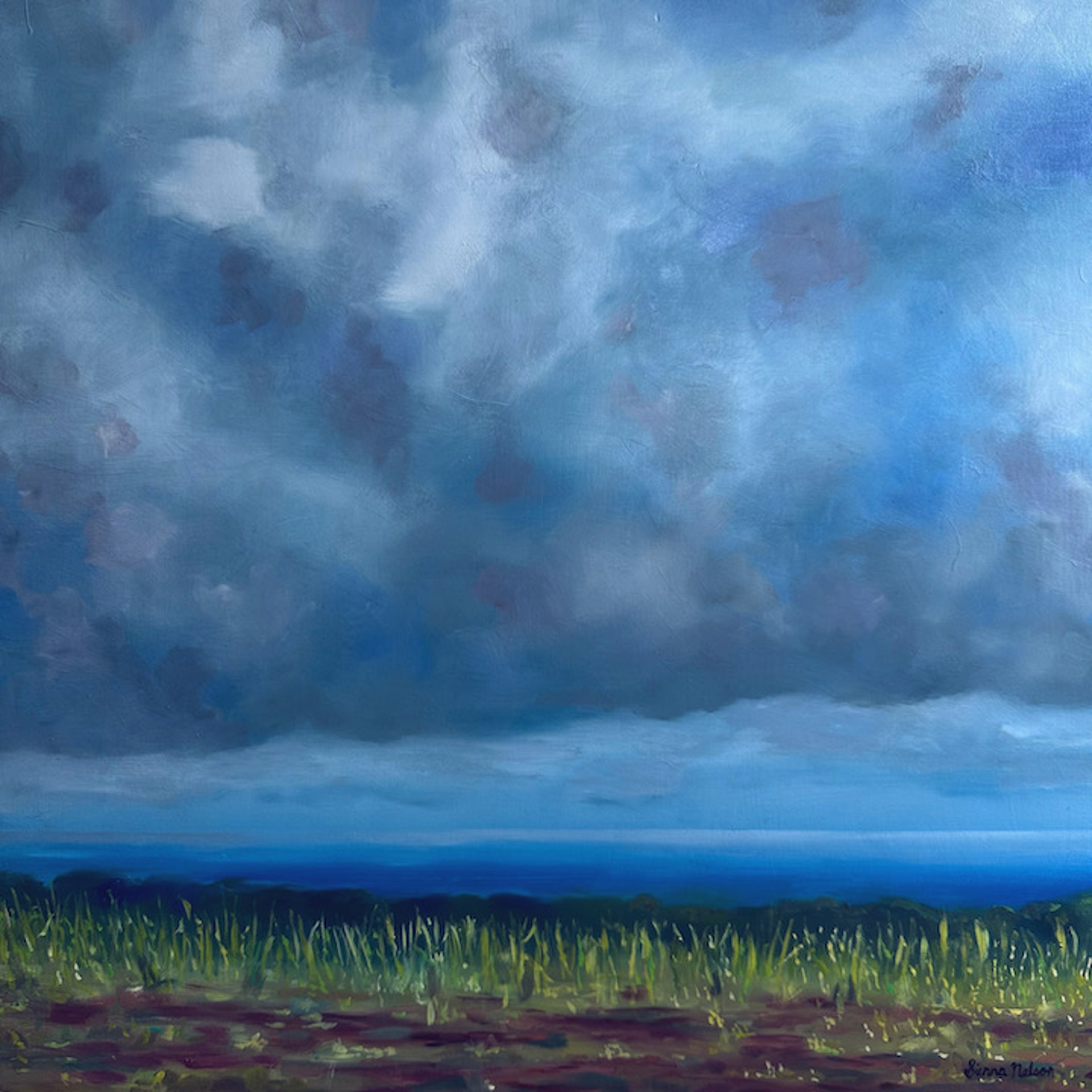 Cloudy Skies by Sienna Nelson